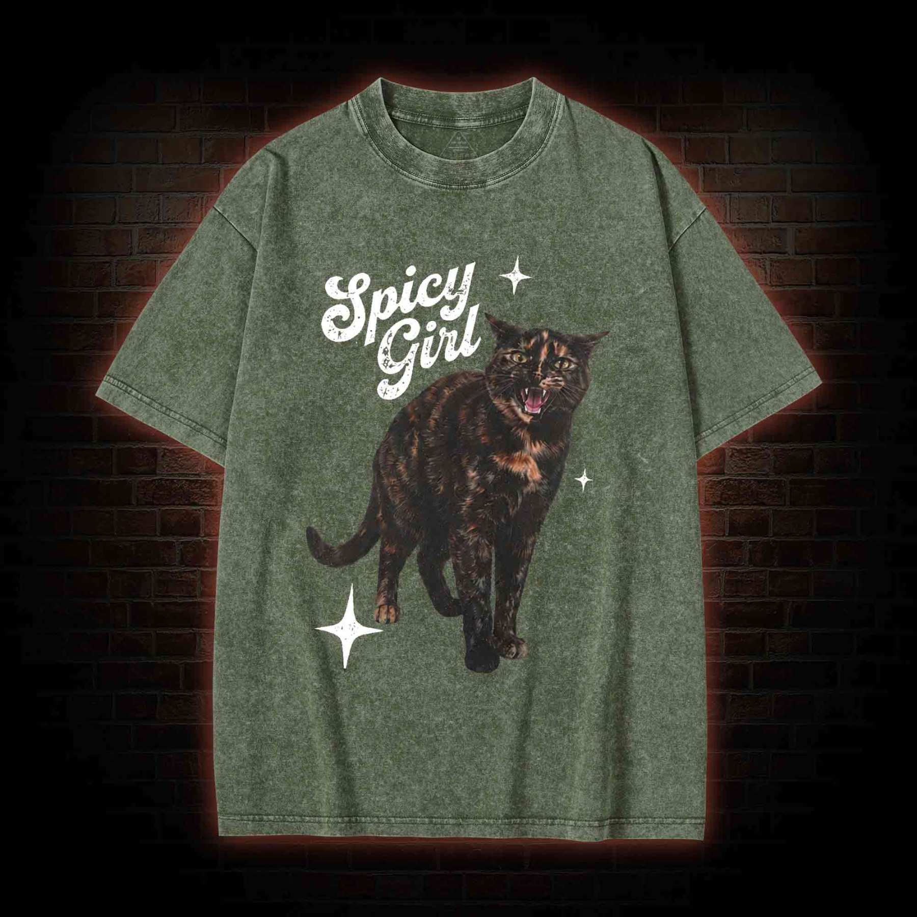 Spicy Girl Washed T-shirt