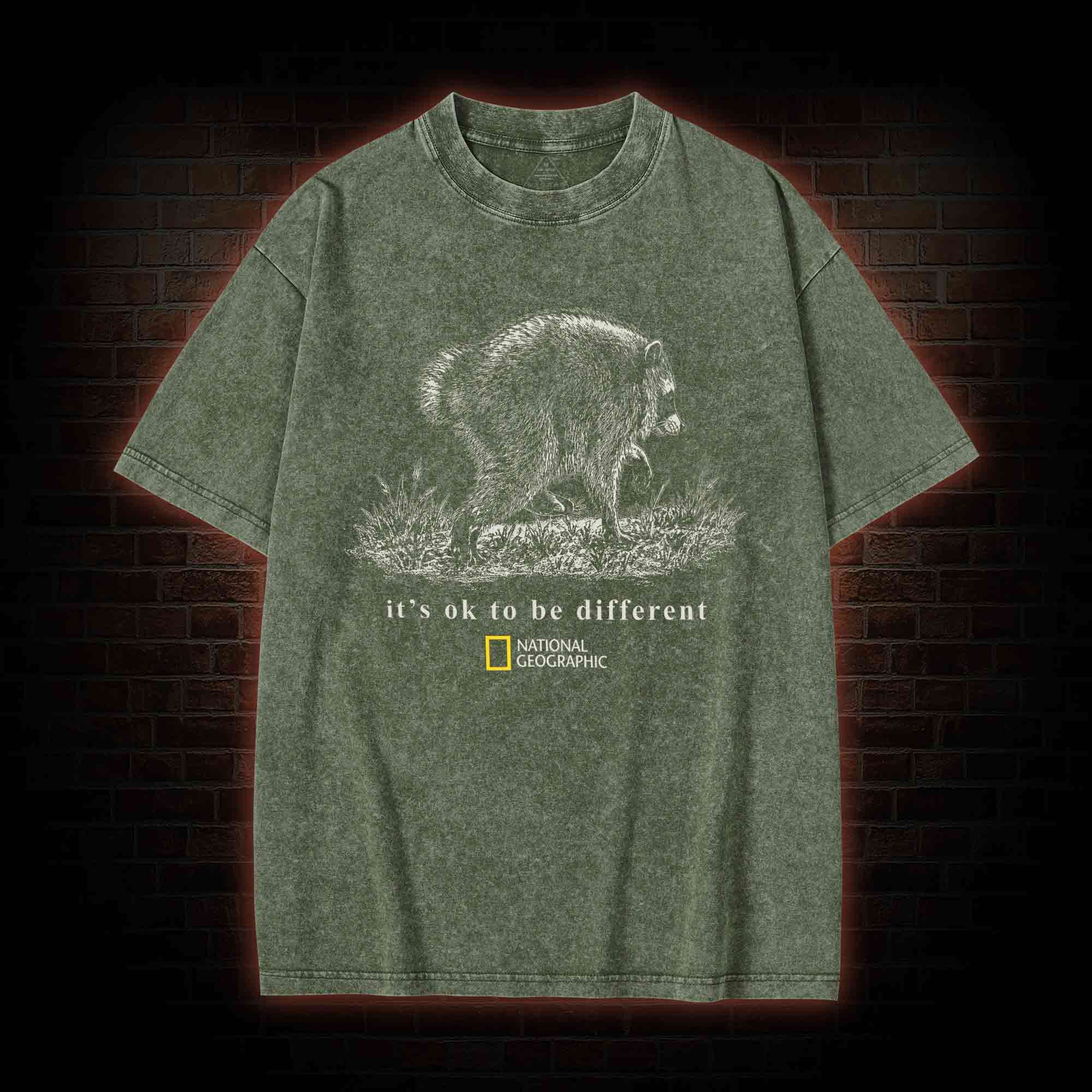 It's Ok to be Different Jimothy Washed T-shirt