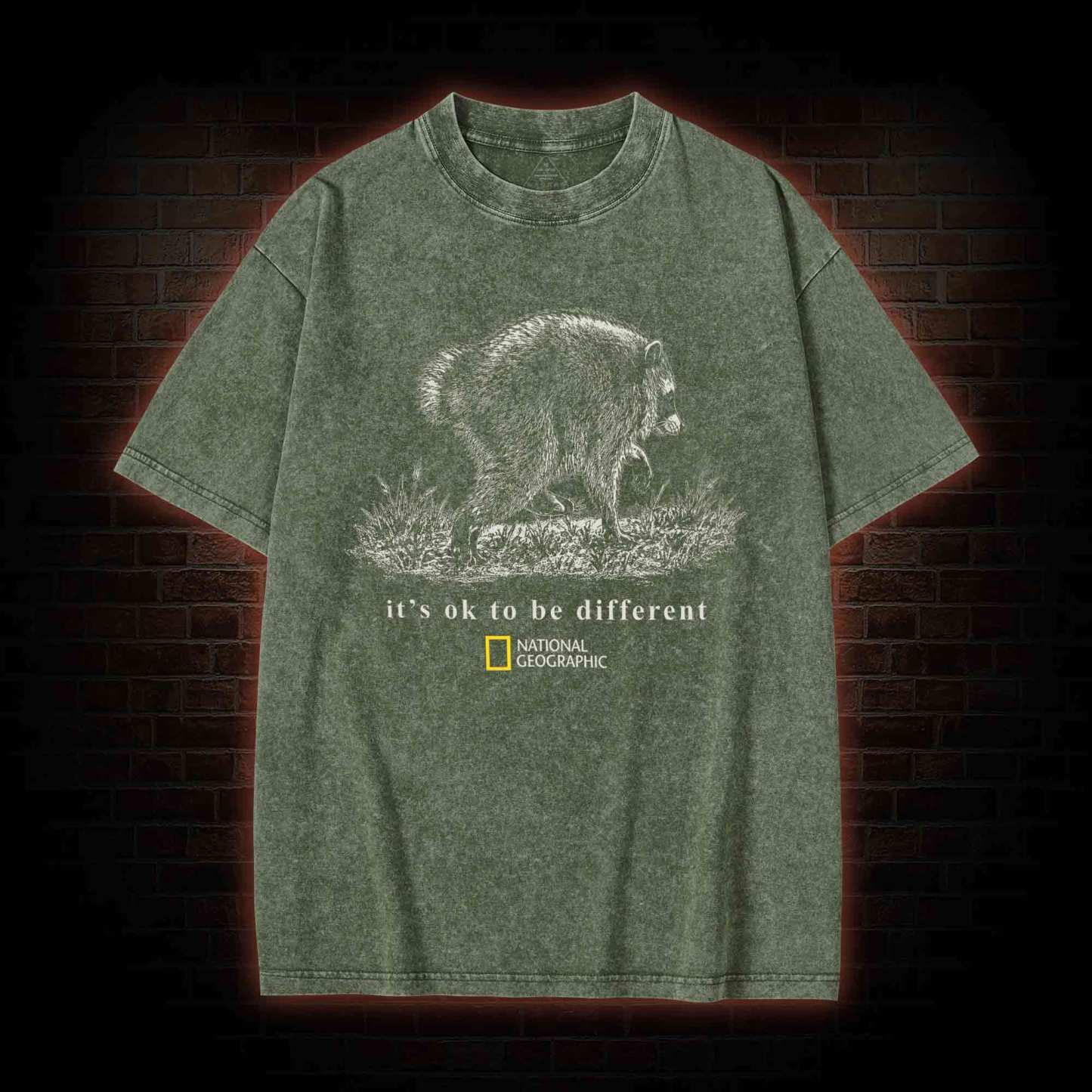 It's Ok to be Different Jimothy Washed T-shirt