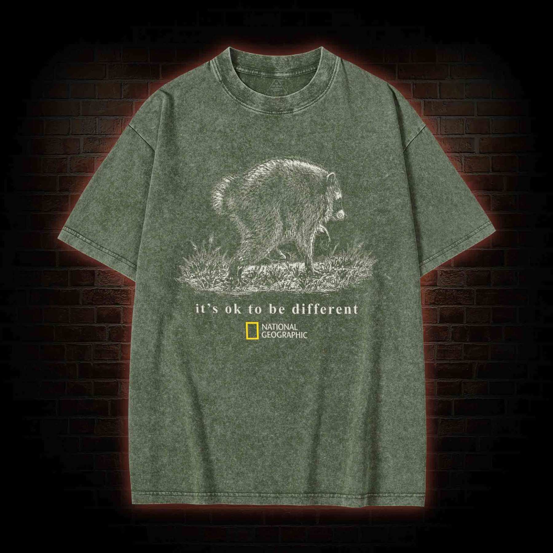 It's Ok to be Different Jimothy Washed T-shirt