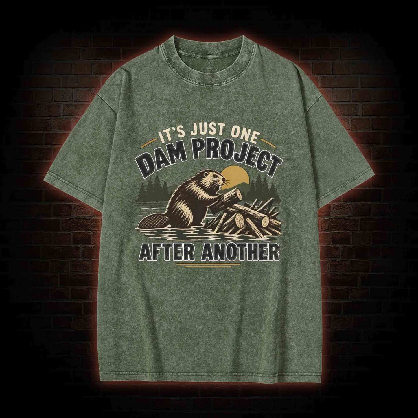 One Dam Project After Another Washed T-shirt