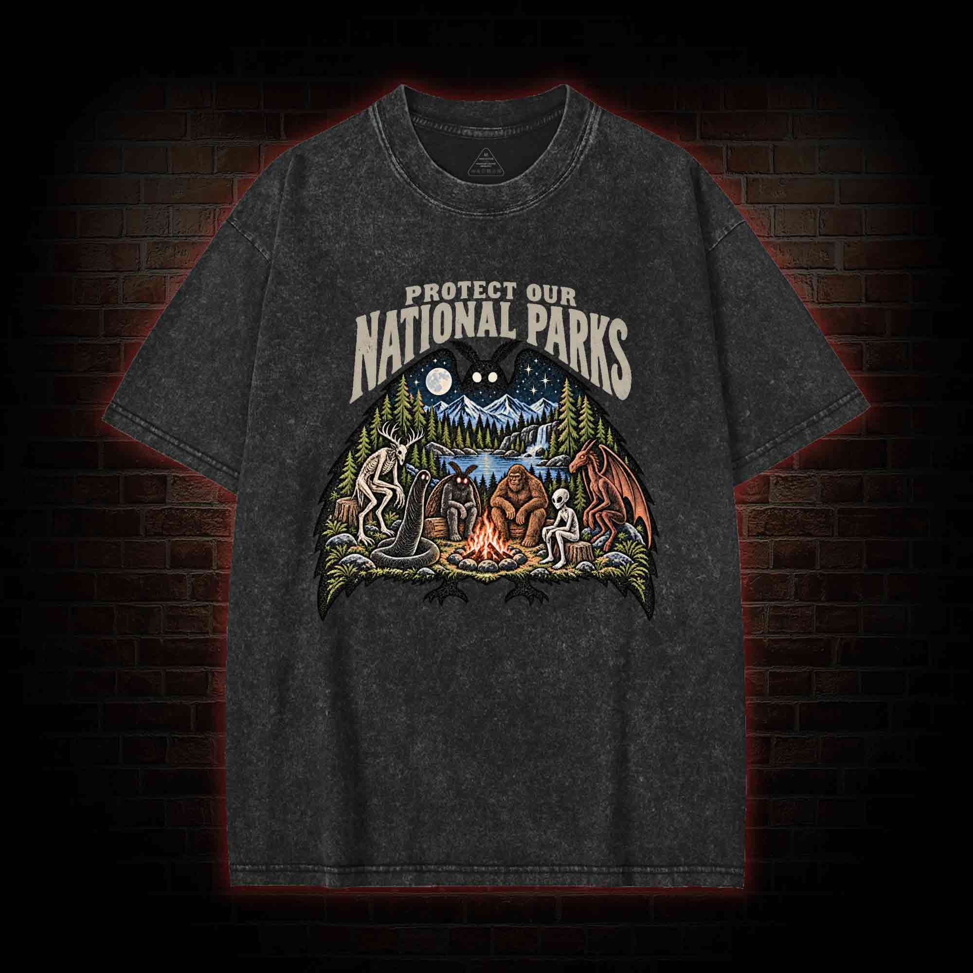 Protect Our National Parks Washed T-shirt