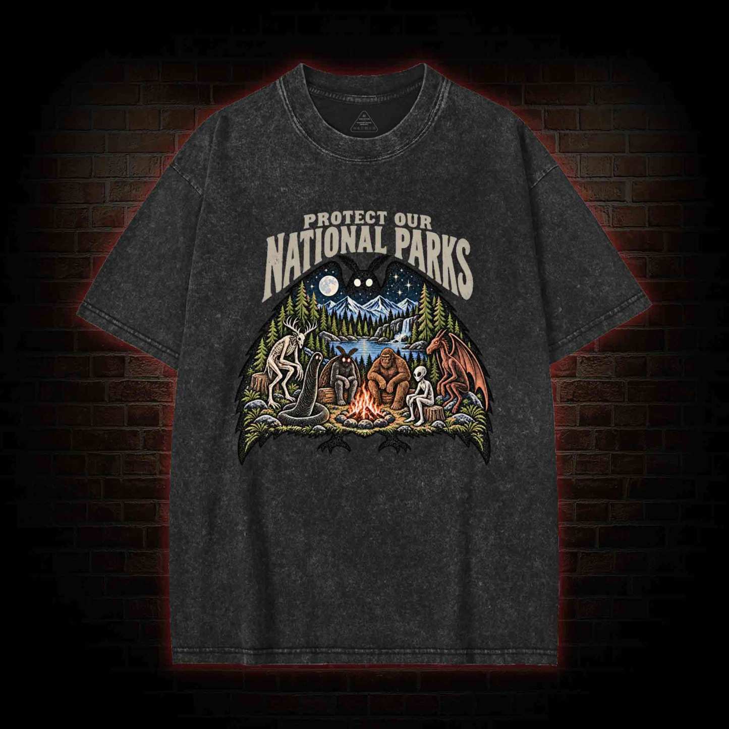 Protect Our National Parks Washed T-shirt