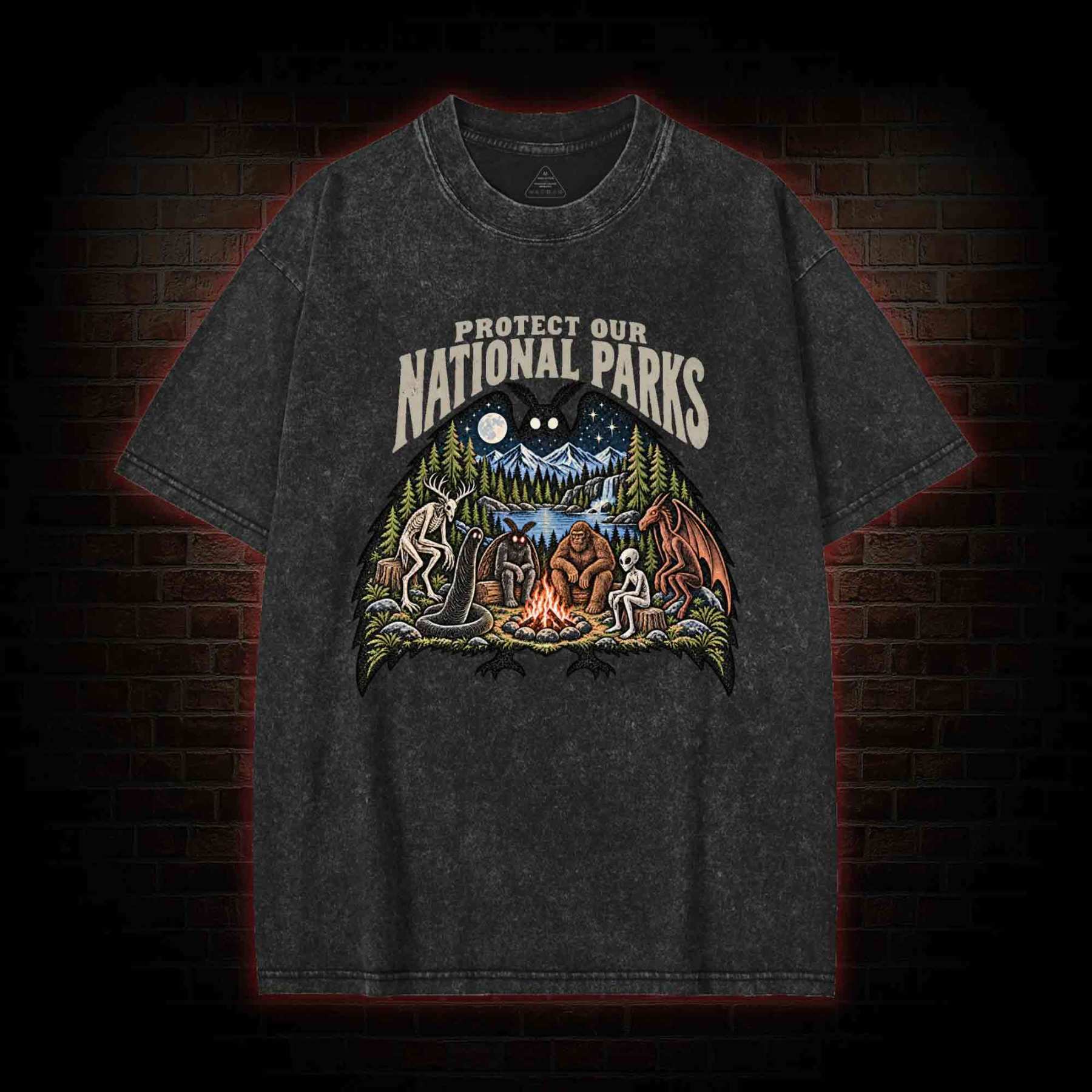 Protect Our National Parks Washed T-shirt