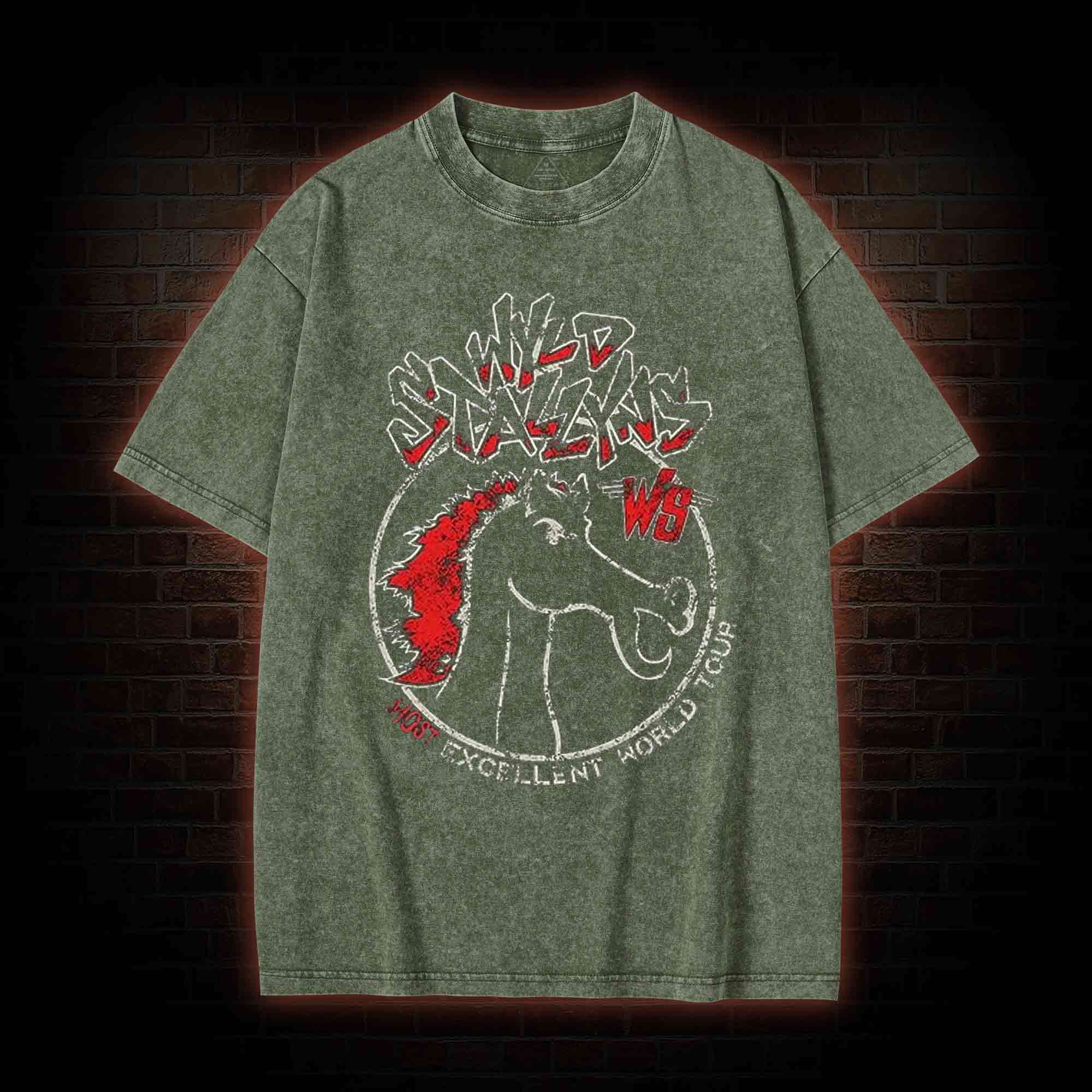 Wild Stallyns will Save the World Washed T-shirt
