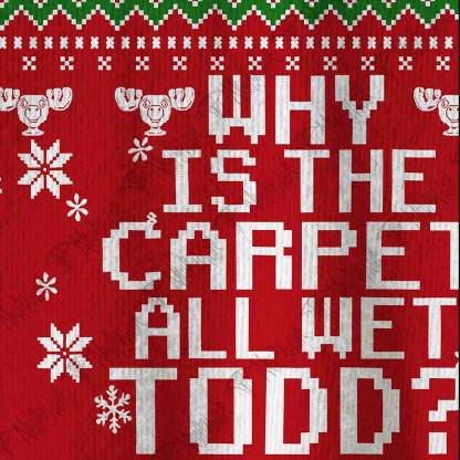 Why is The Carpet All Wet Todd? Ugly Sweatshirts