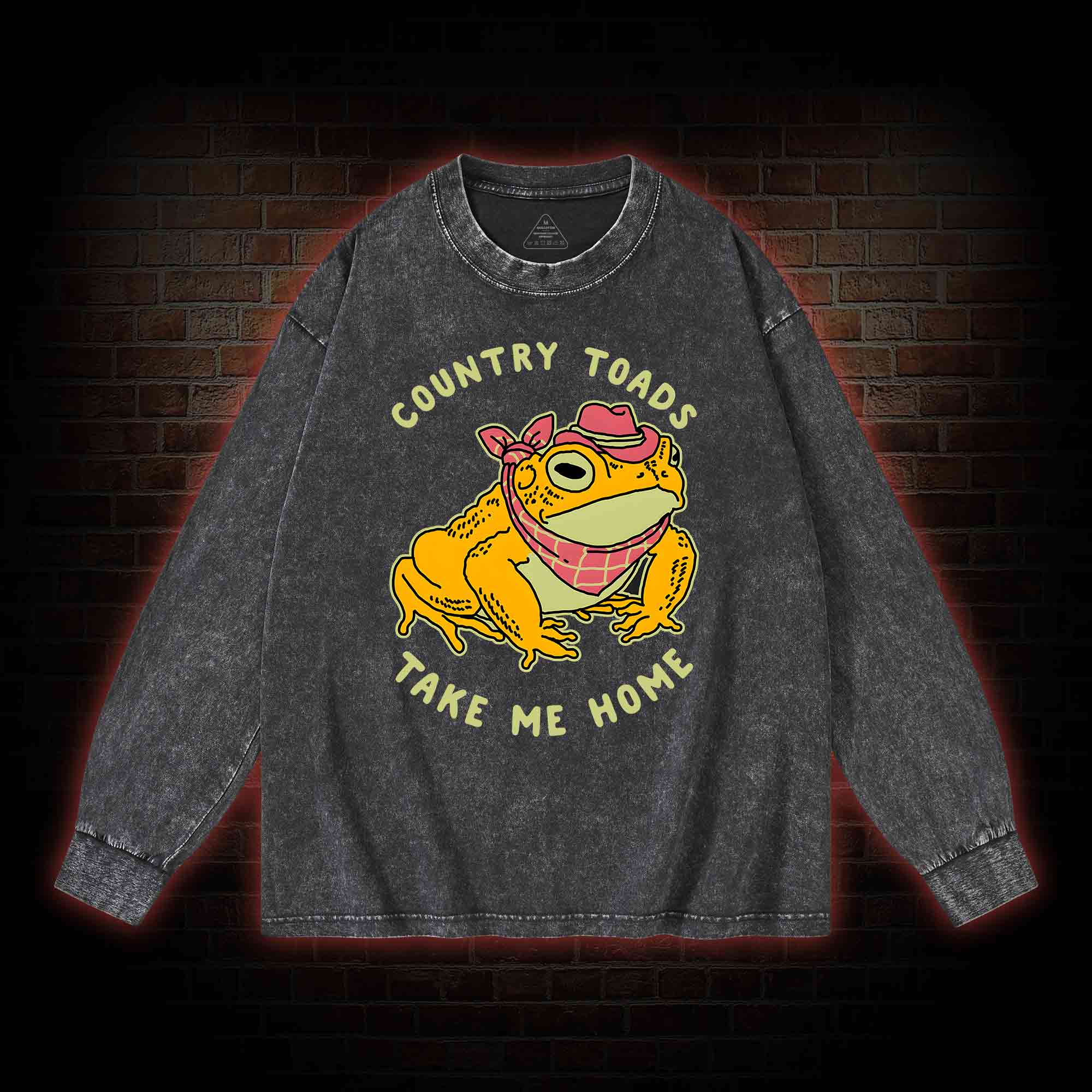 Country Toads Take Me Home Washed Long-Sleeve T-shirt