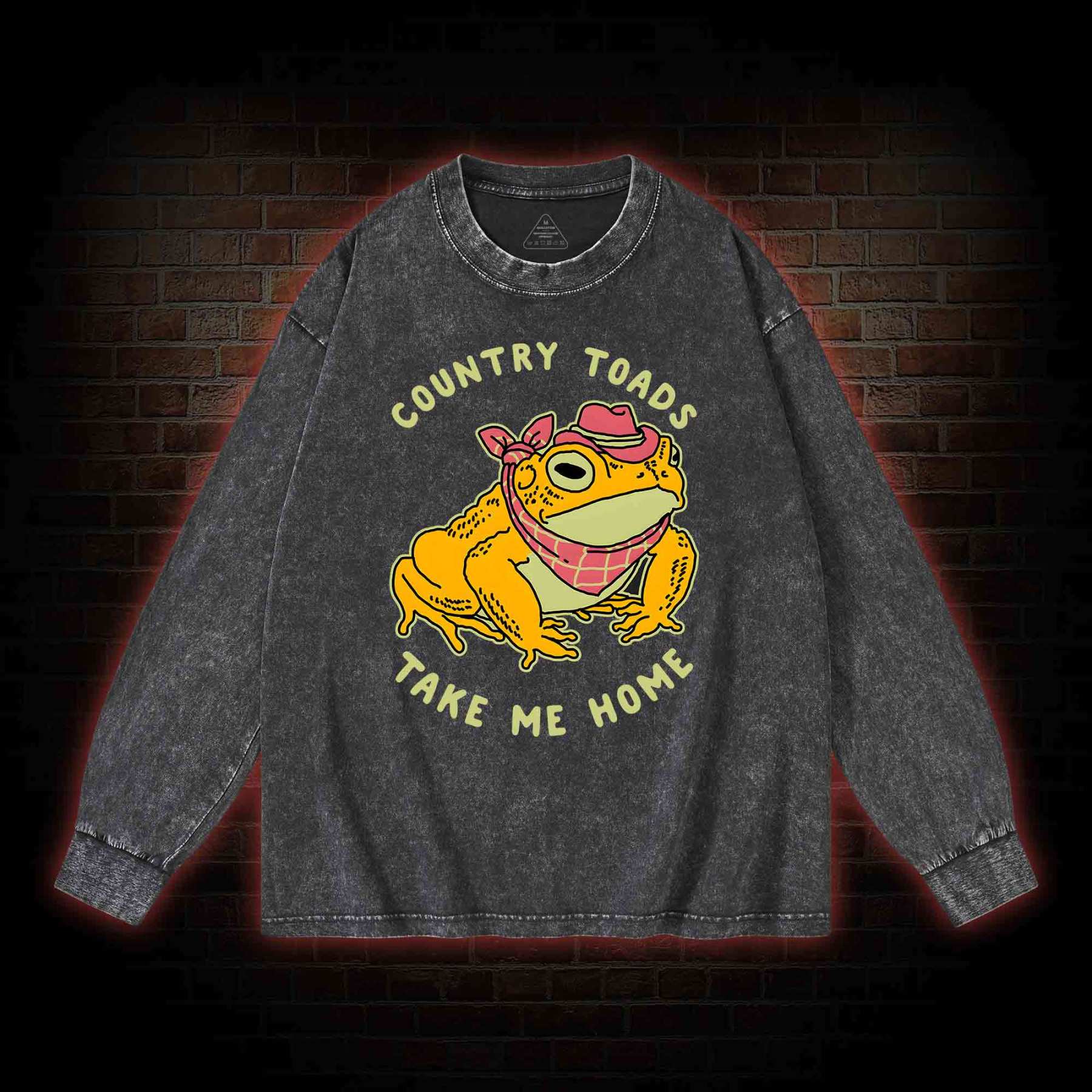 Country Toads Take Me Home Washed Long-Sleeve T-shirt
