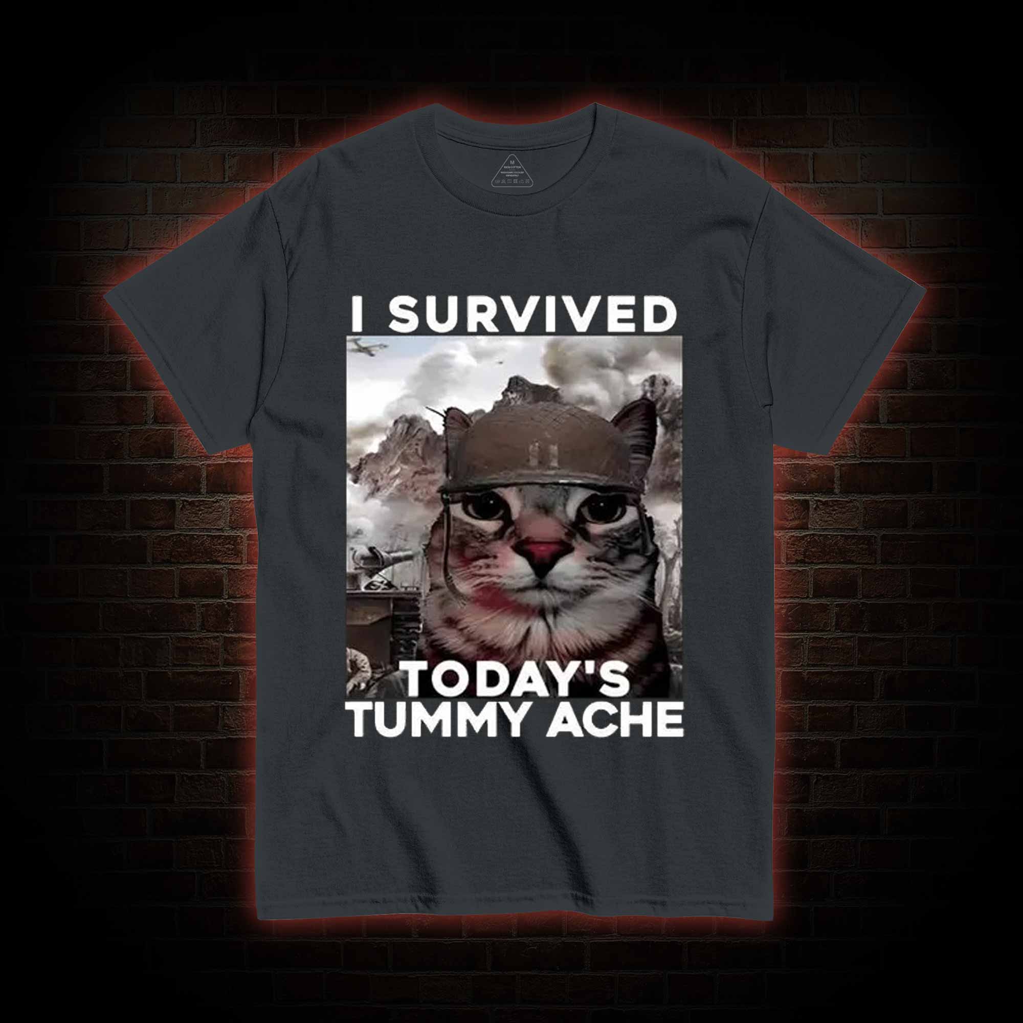 I Survived Today's Tummy Ache T-Shirt