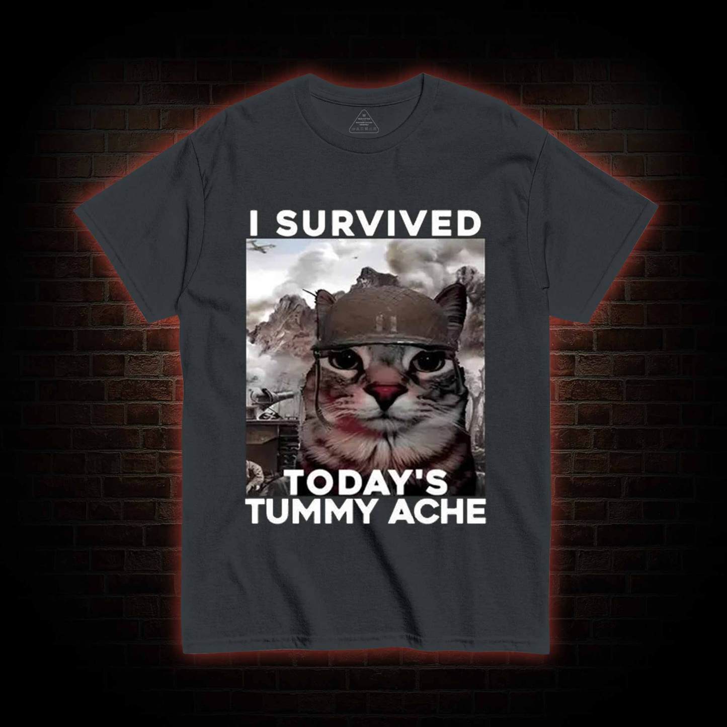 I Survived Today's Tummy Ache T-Shirt