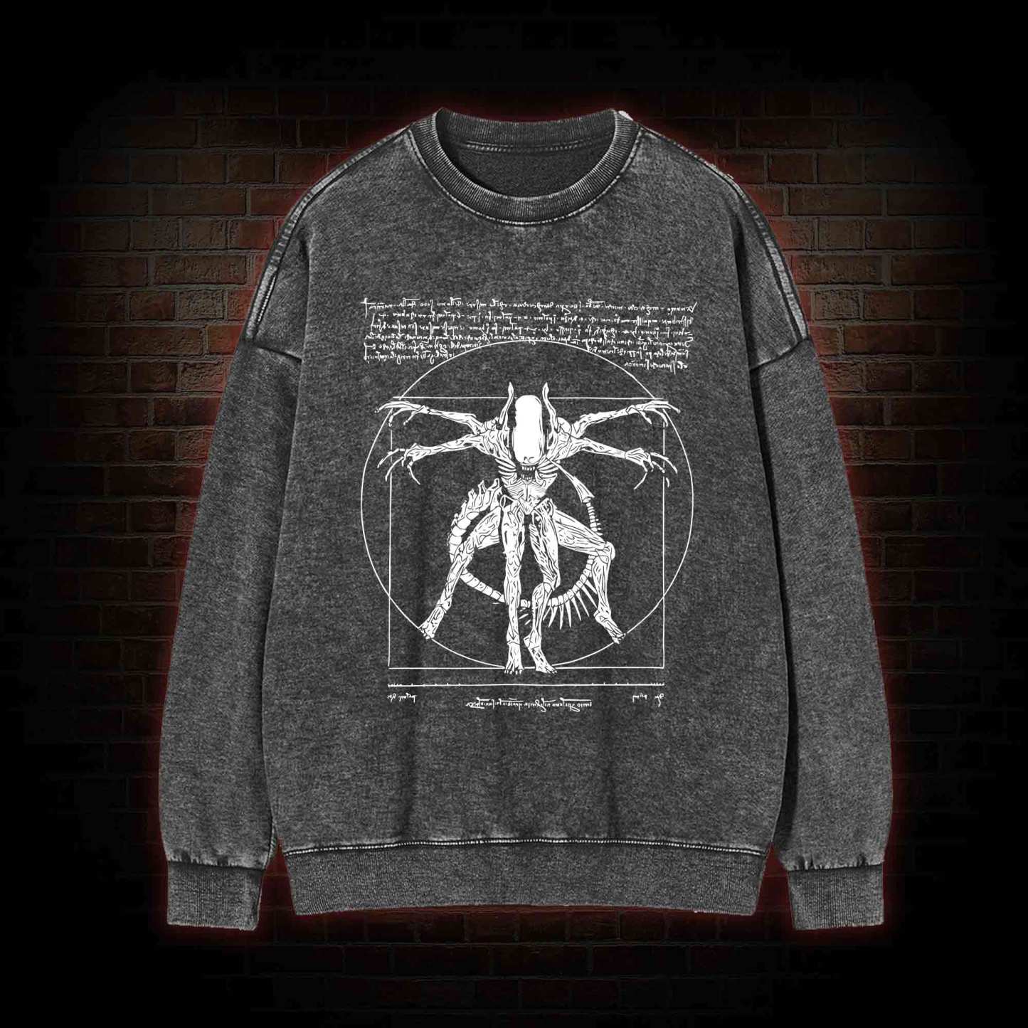 Alien Washed Sweatshirt