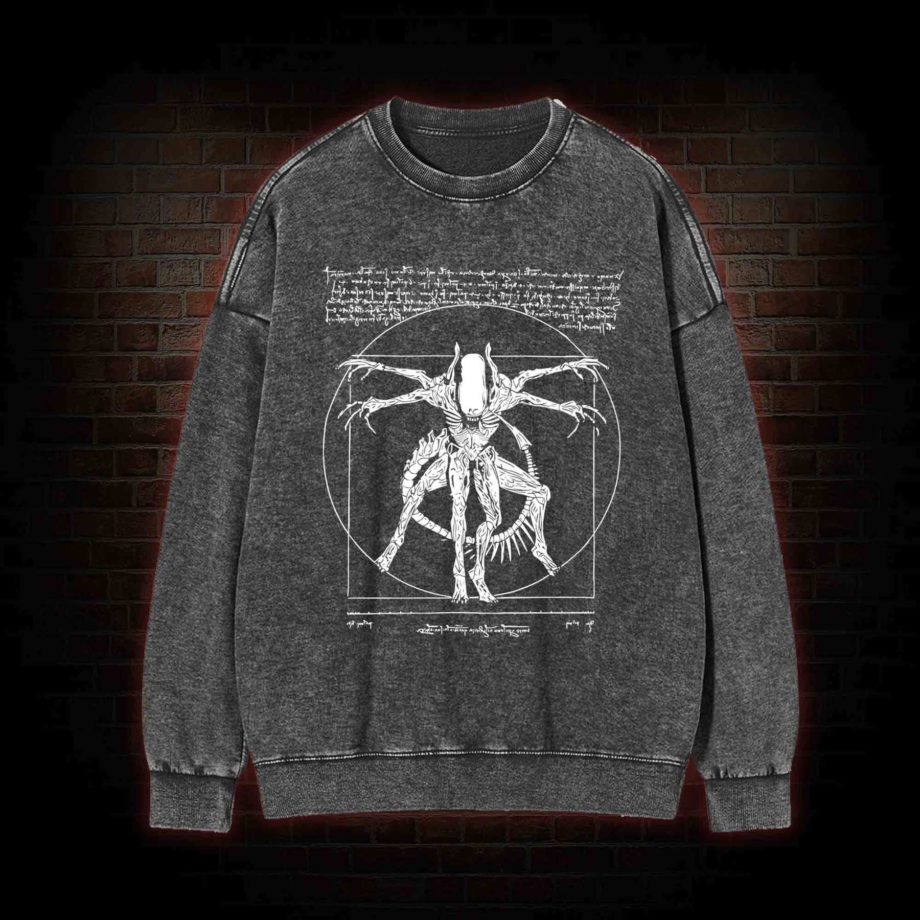 Alien Washed Sweatshirt