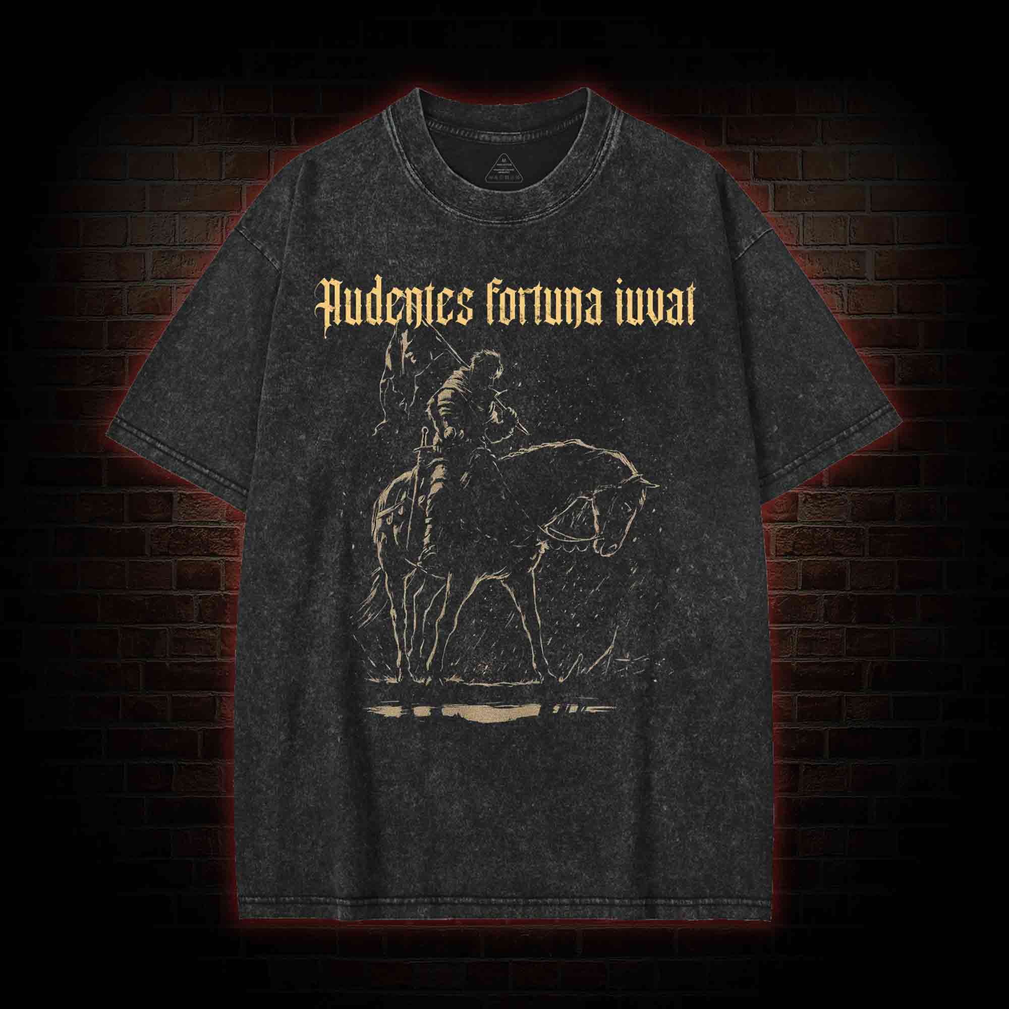 Audentes Fortuna Iuvat Washed T-shirt