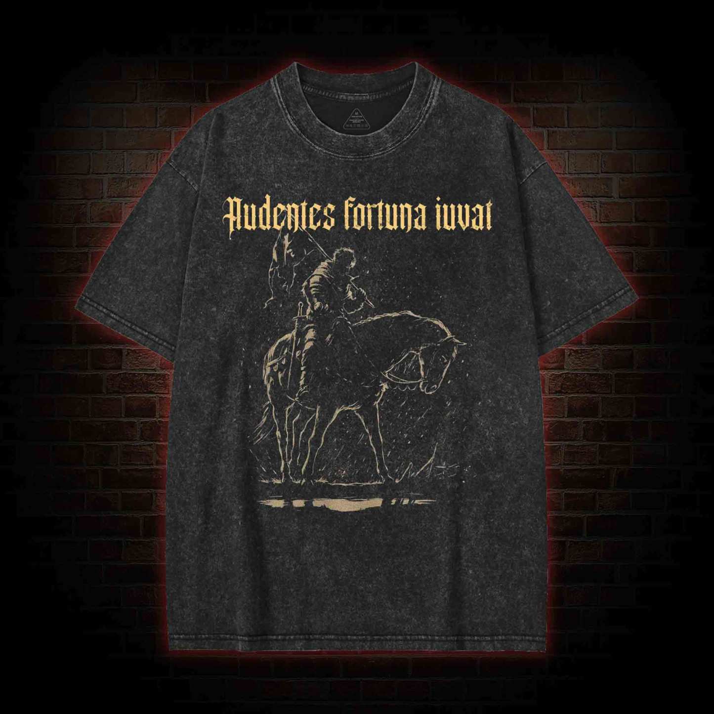 Audentes Fortuna Iuvat Washed T-shirt