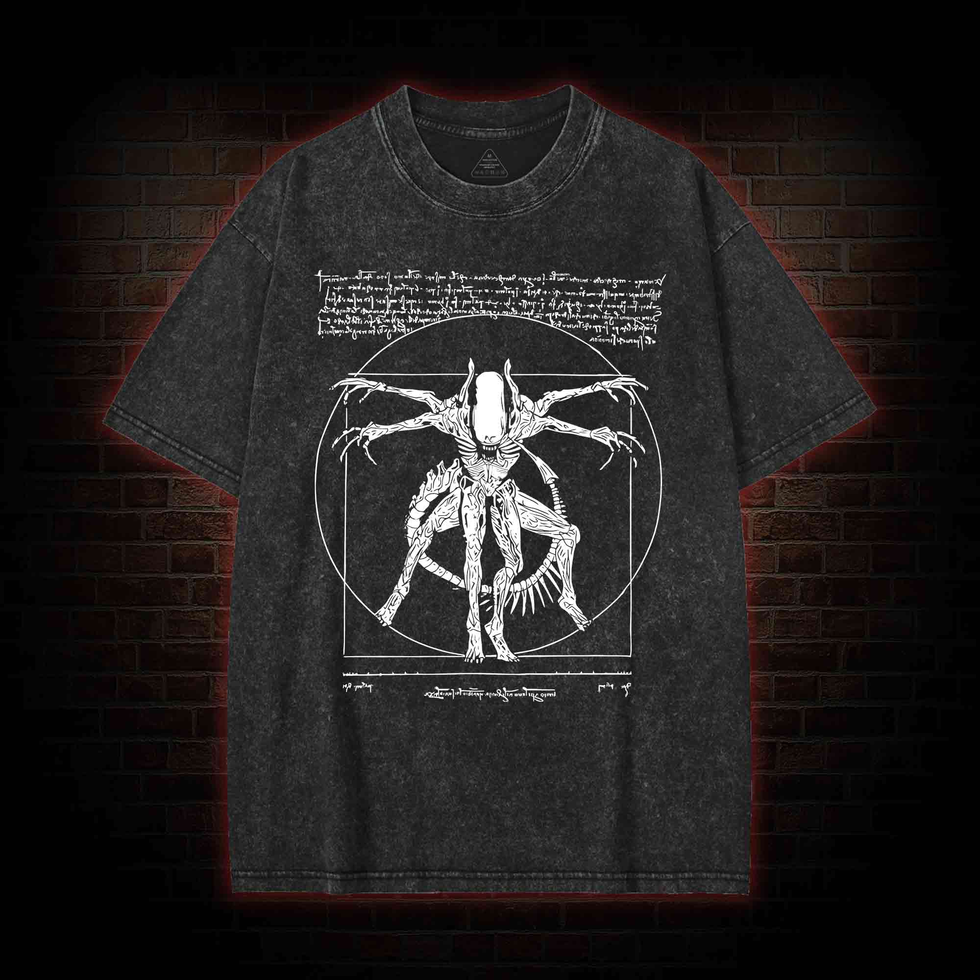 Alien Washed T-shirt