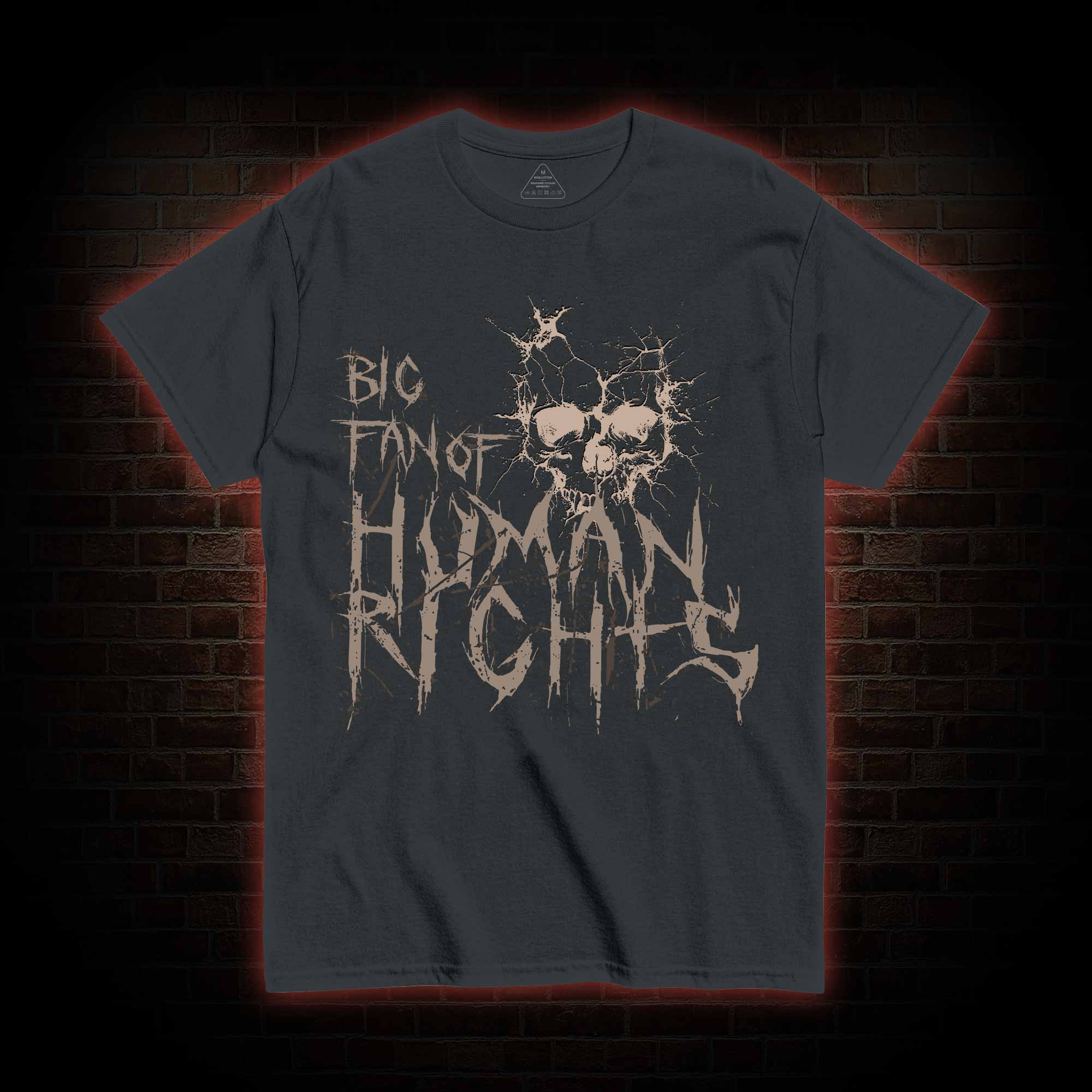 Big Fan of Human Rights T-shirt