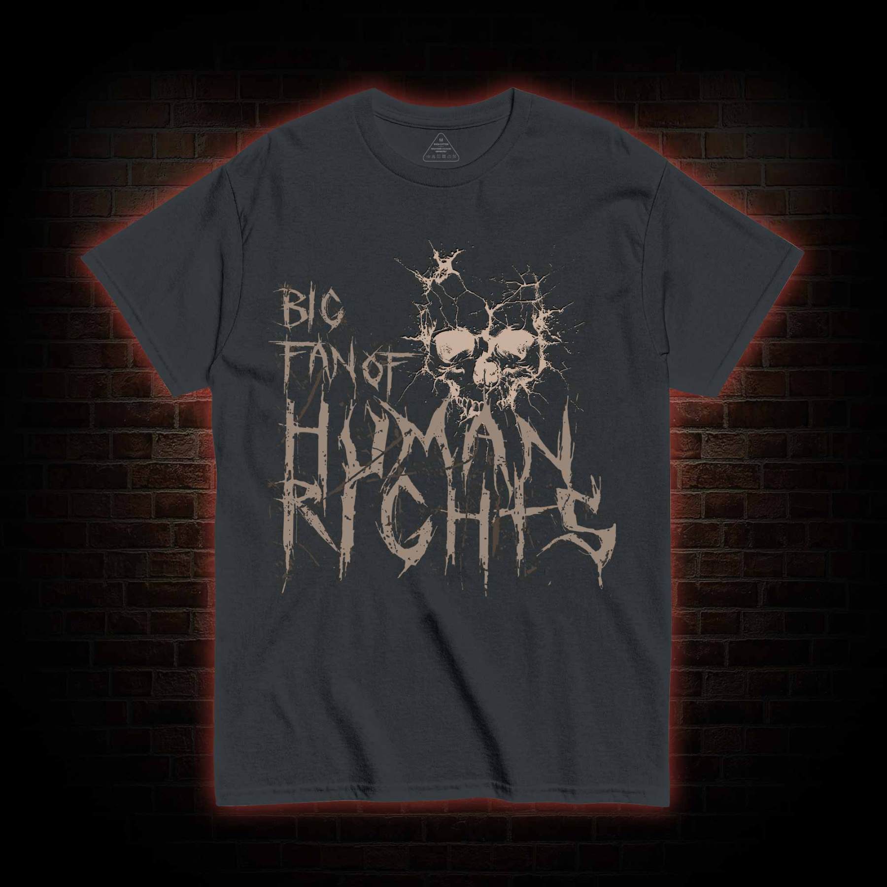 Big Fan of Human Rights T-shirt