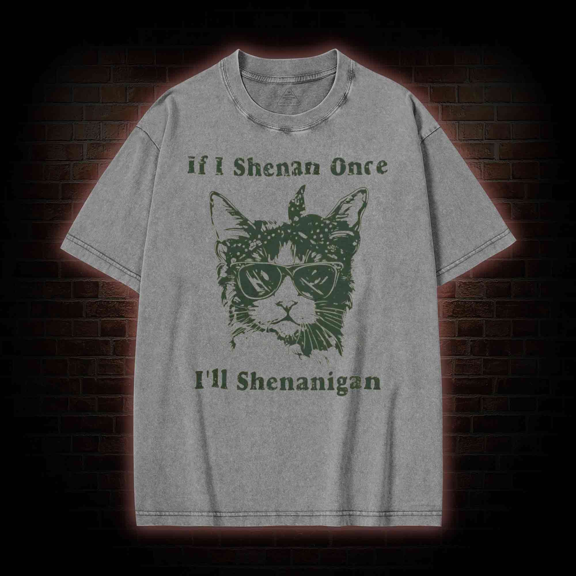 If I Shenan Once I'll Shenanigan Washed T-shirt