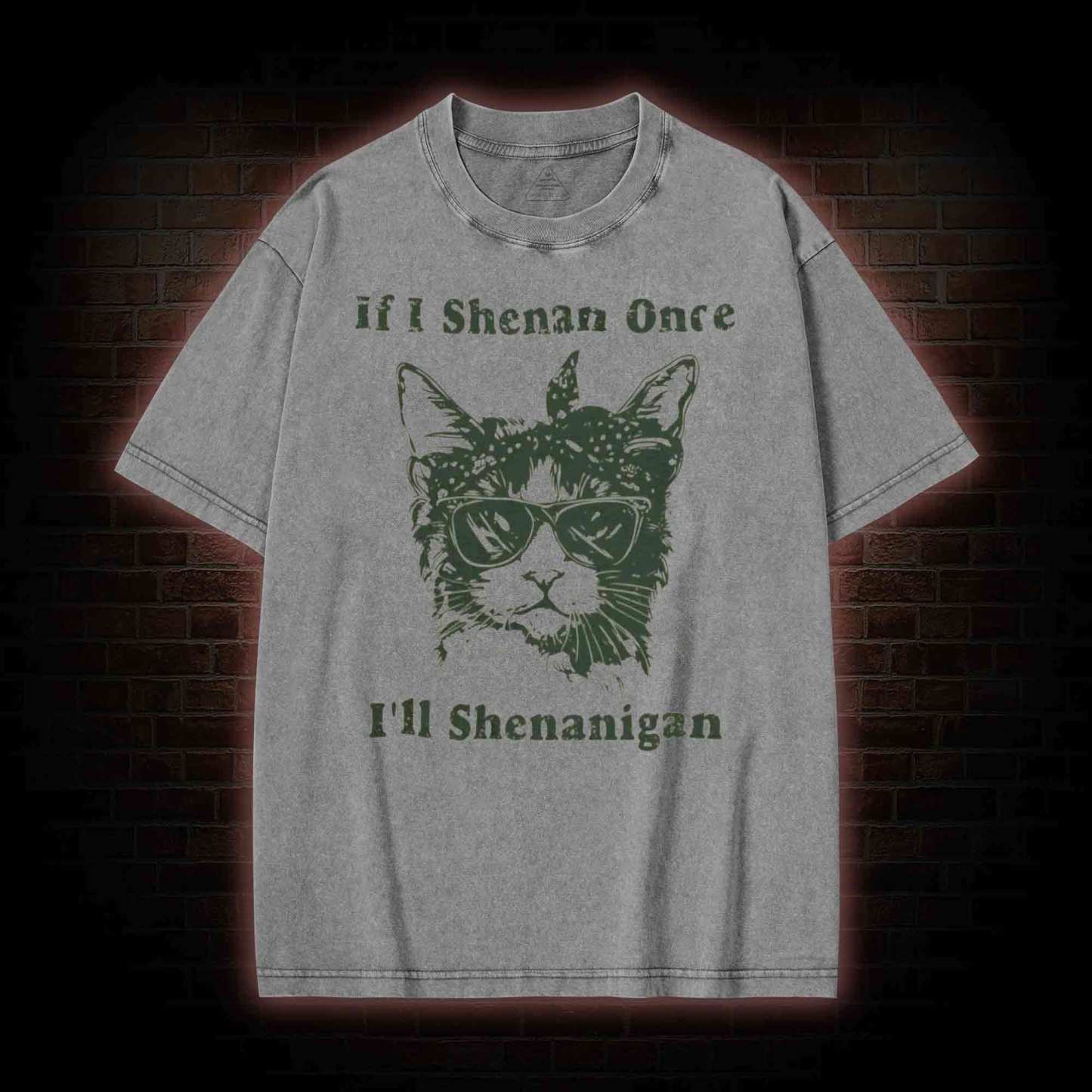 If I Shenan Once I'll Shenanigan Washed T-shirt