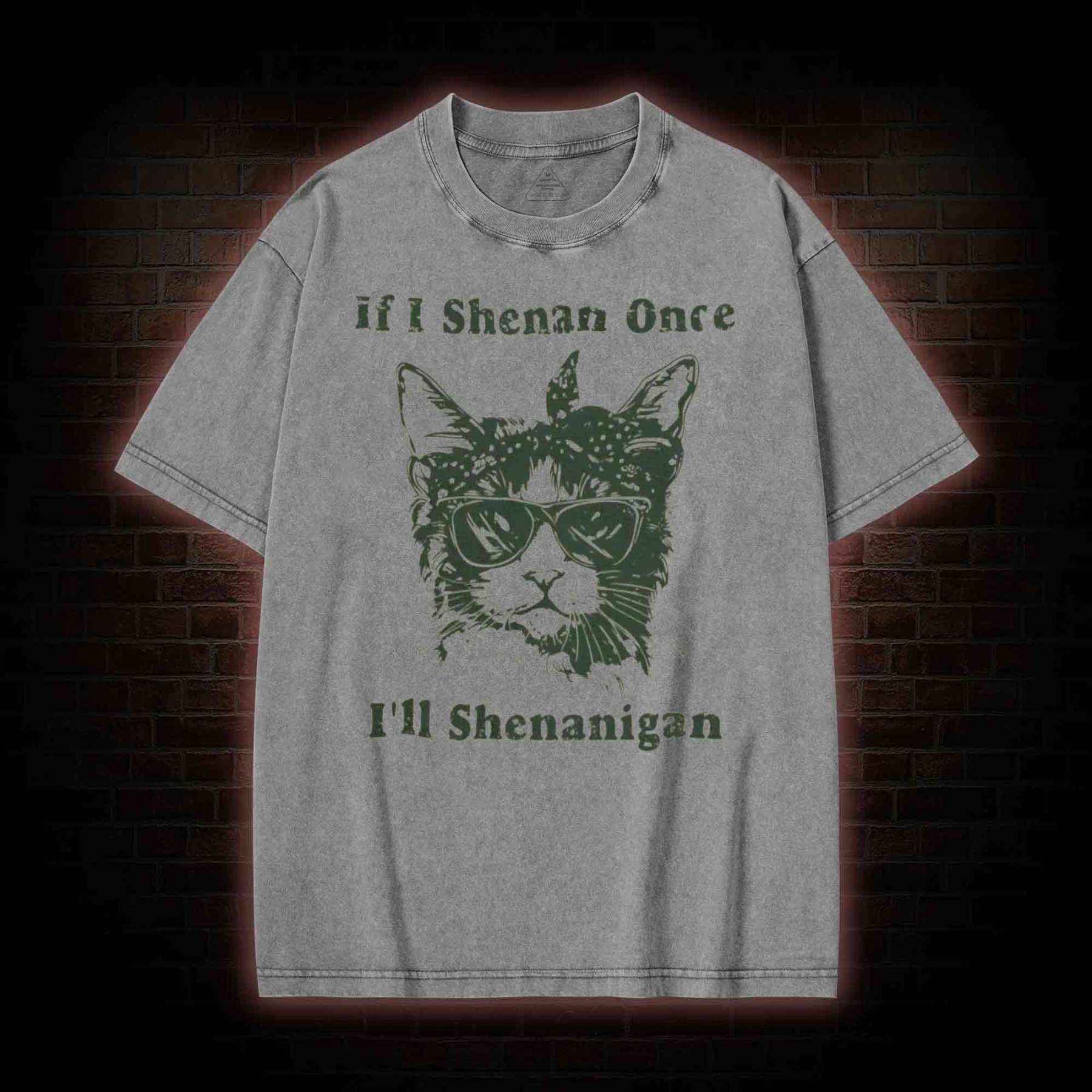 If I Shenan Once I'll Shenanigan Washed T-shirt