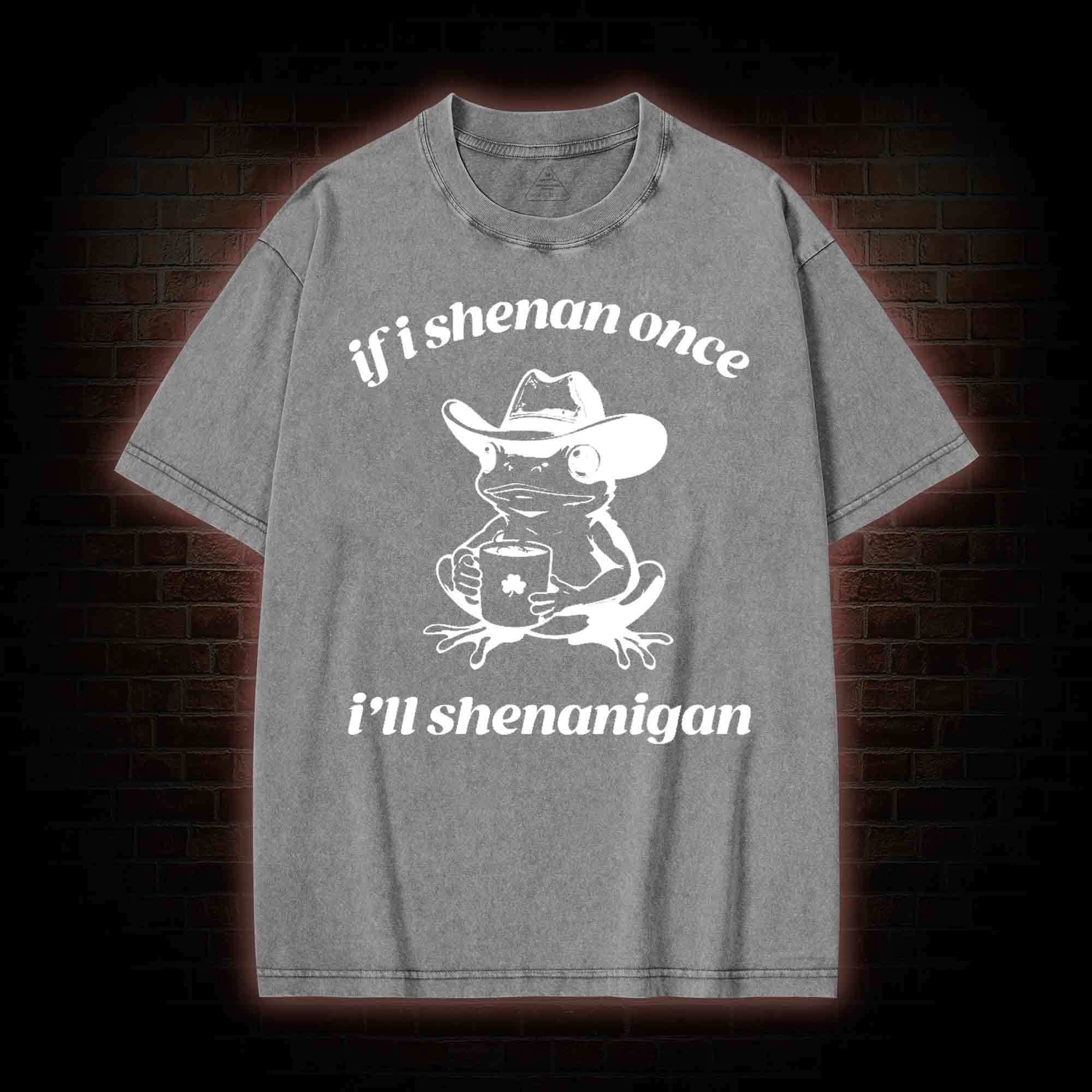 If I Shenan Once I'll Shenanigan Washed T-shirt