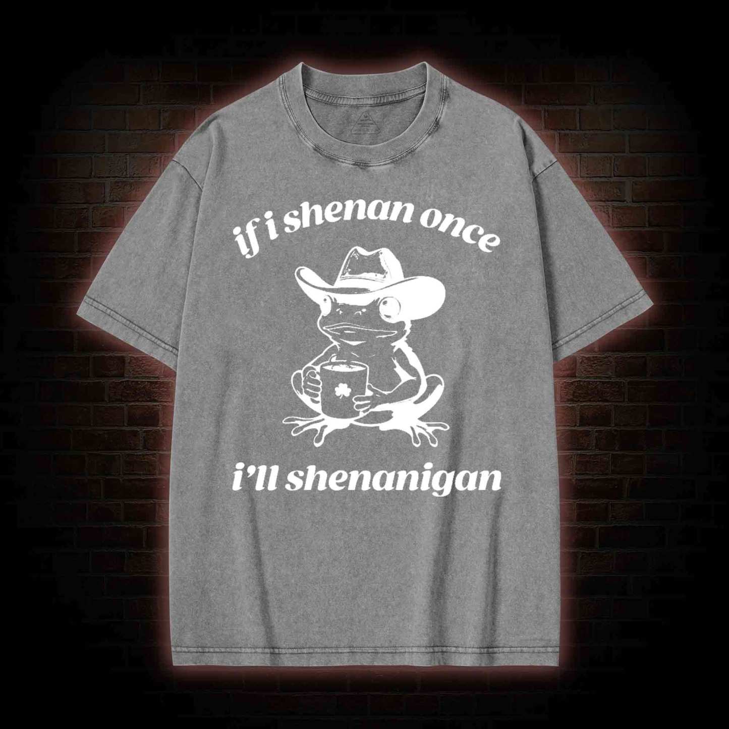 If I Shenan Once I'll Shenanigan Washed T-shirt