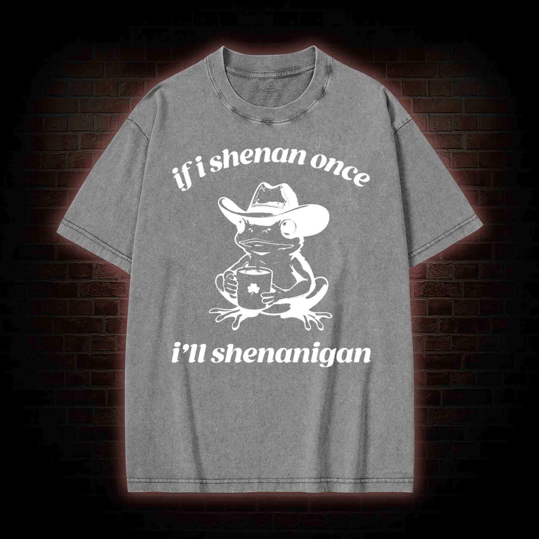 If I Shenan Once I'll Shenanigan Washed T-shirt