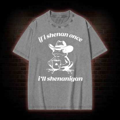 If I Shenan Once I'll Shenanigan Washed T-shirt