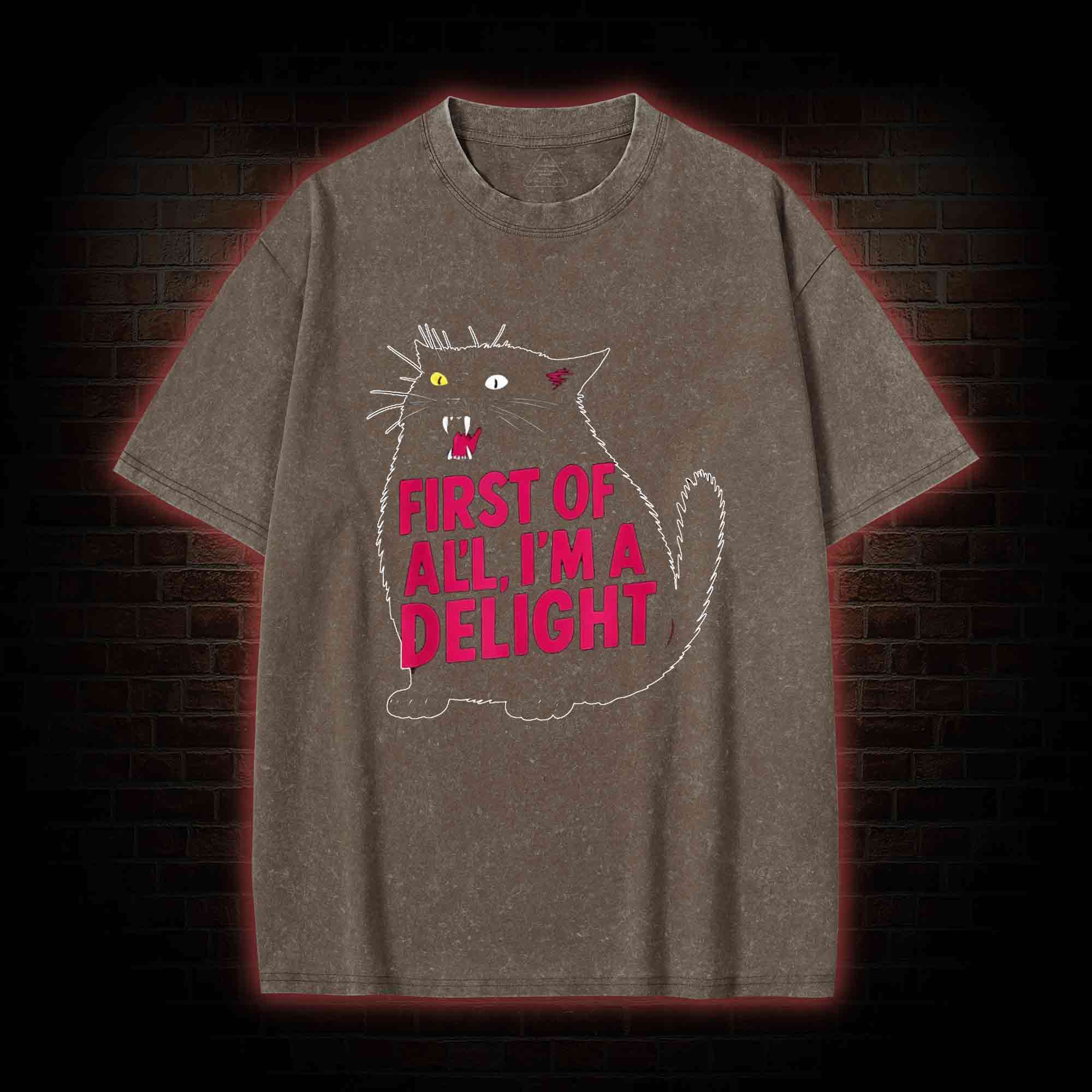 First of all I’m a Delight Washed T-shirt