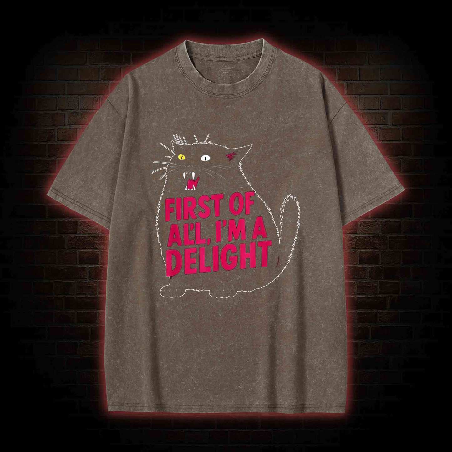 First of all I’m a Delight Washed T-shirt