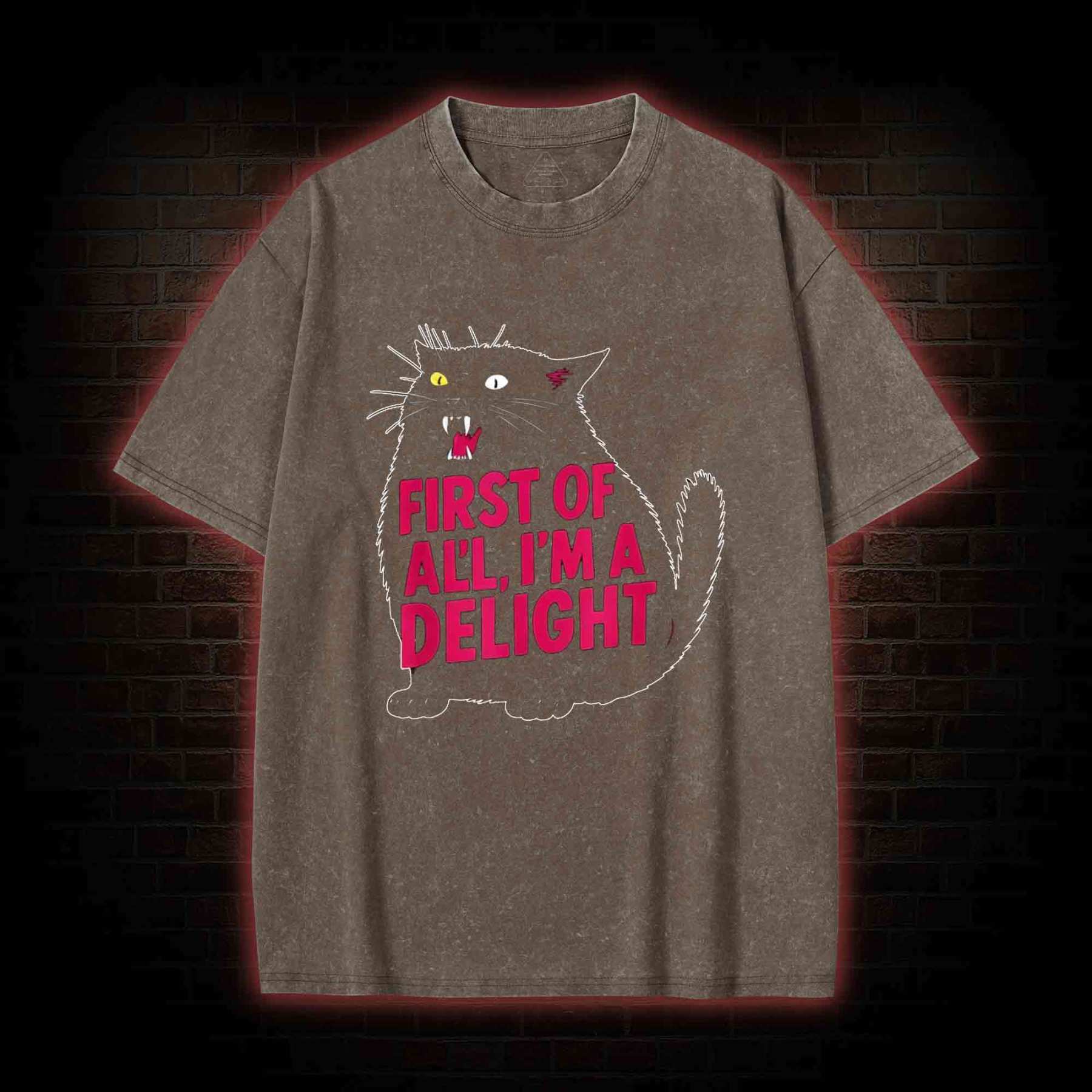 First of all I’m a Delight Washed T-shirt