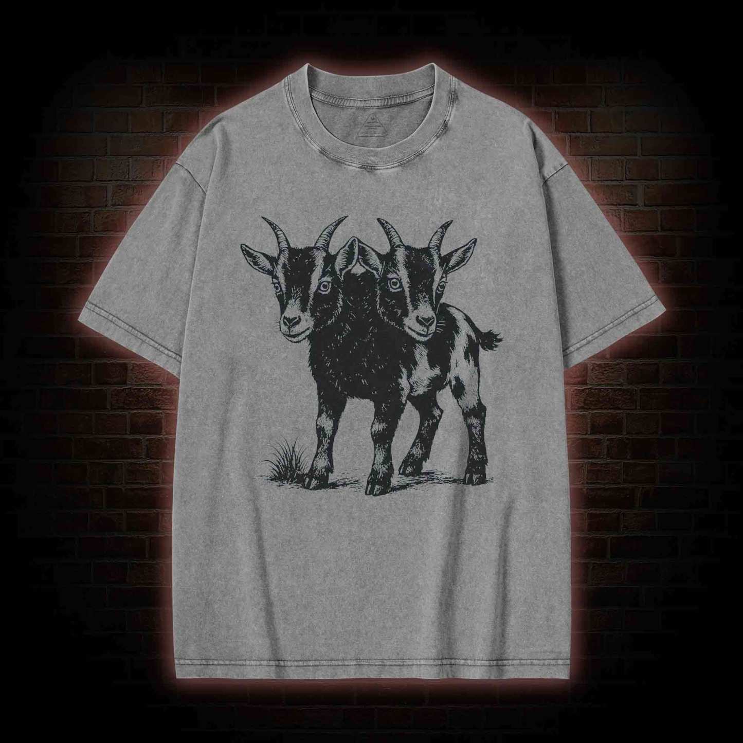 Two Headed Goat Washed T-shirt