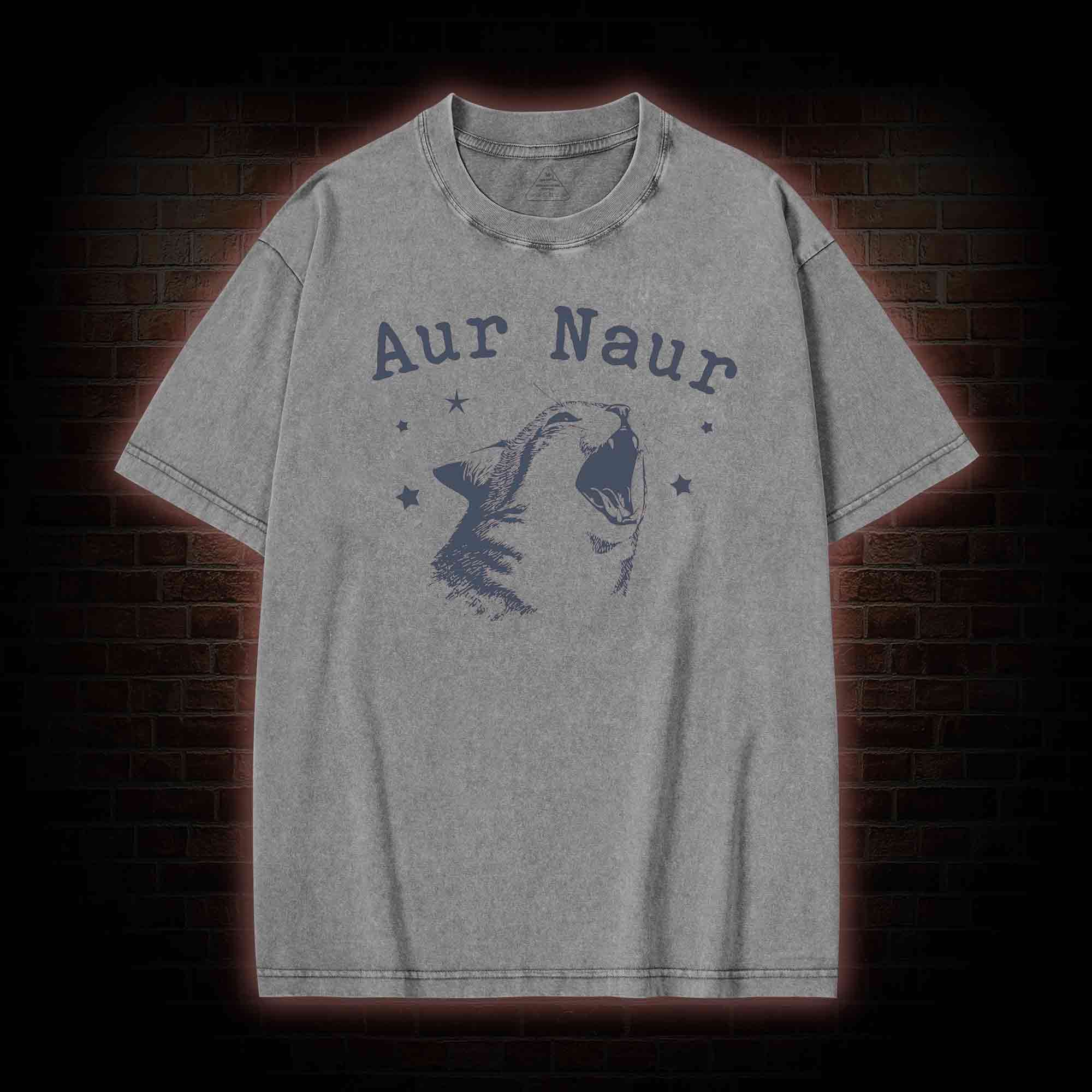 Aur Naur Cat Washed T-shirt