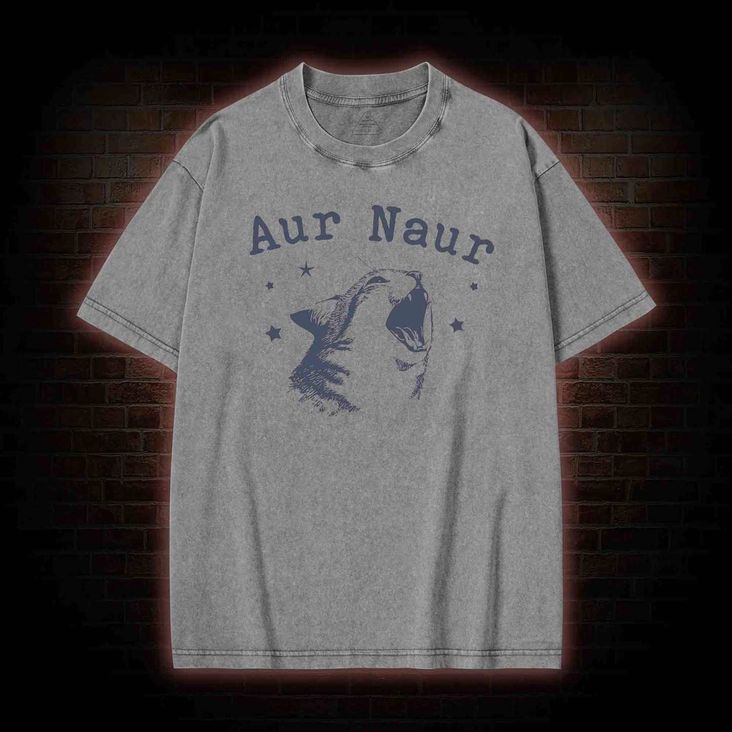 Aur Naur Cat Washed T-shirt