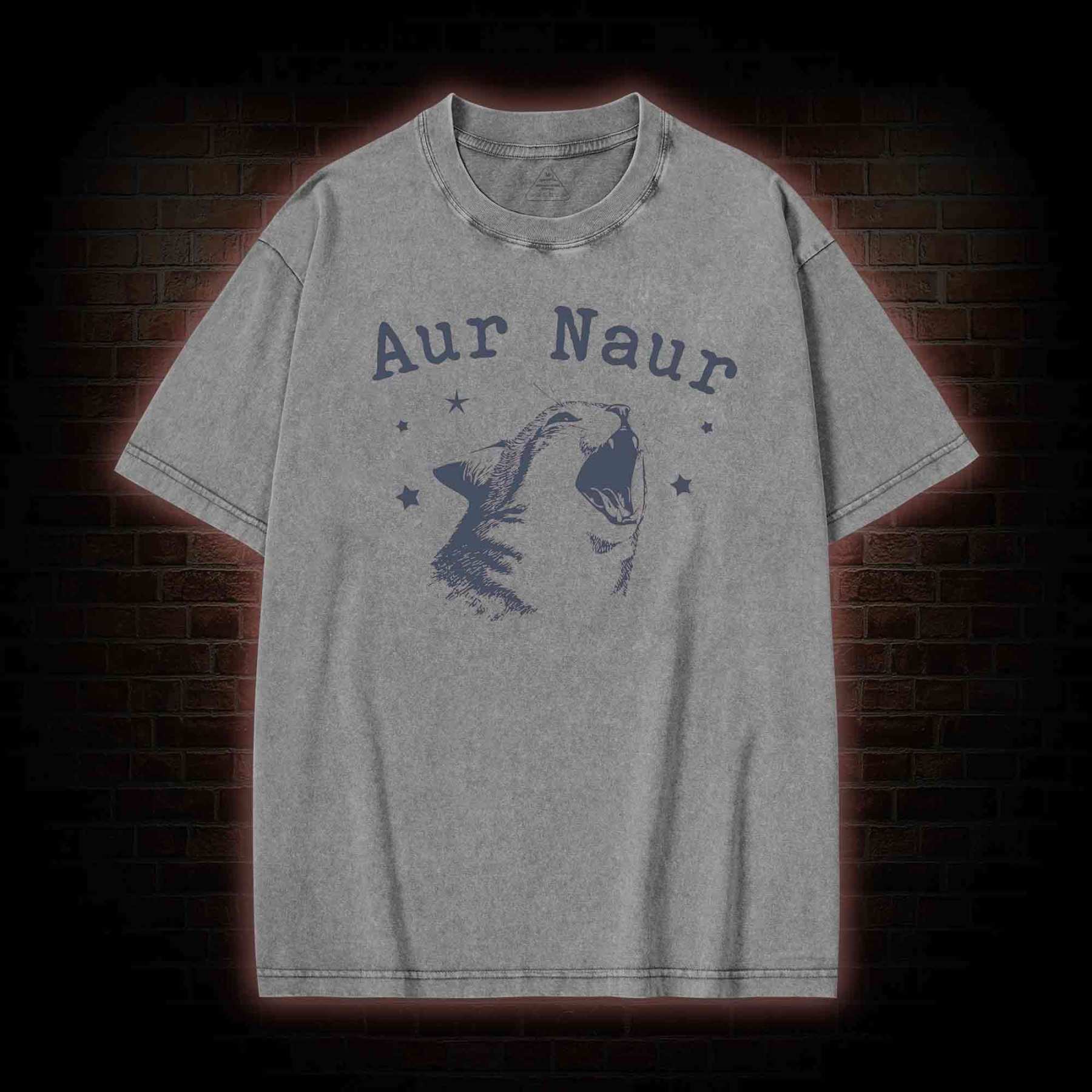 Aur Naur Cat Washed T-shirt