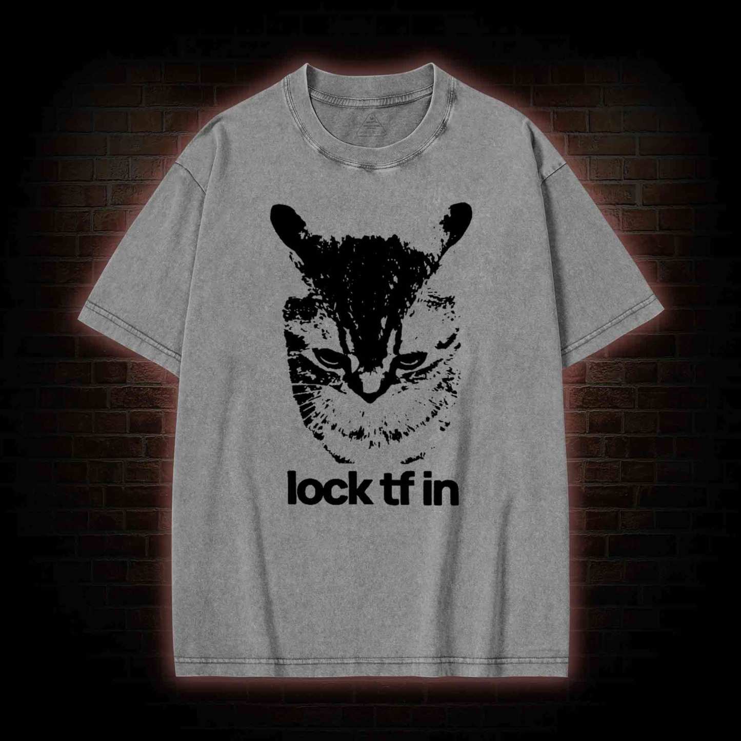 Lock TF in Cat Washed T-shirt