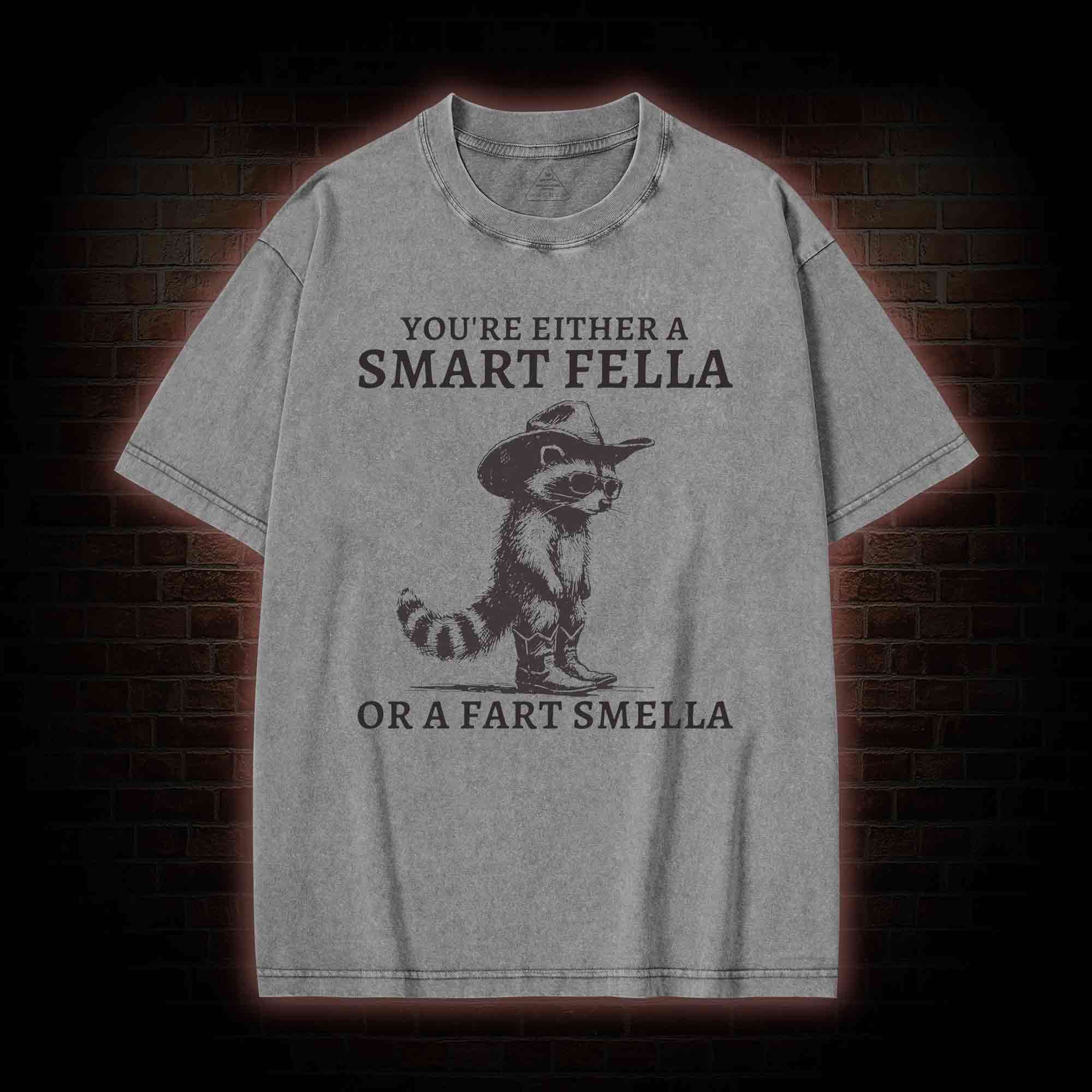 You're Either a Smart Fella or a  Fart Smella Washed T-shirt
