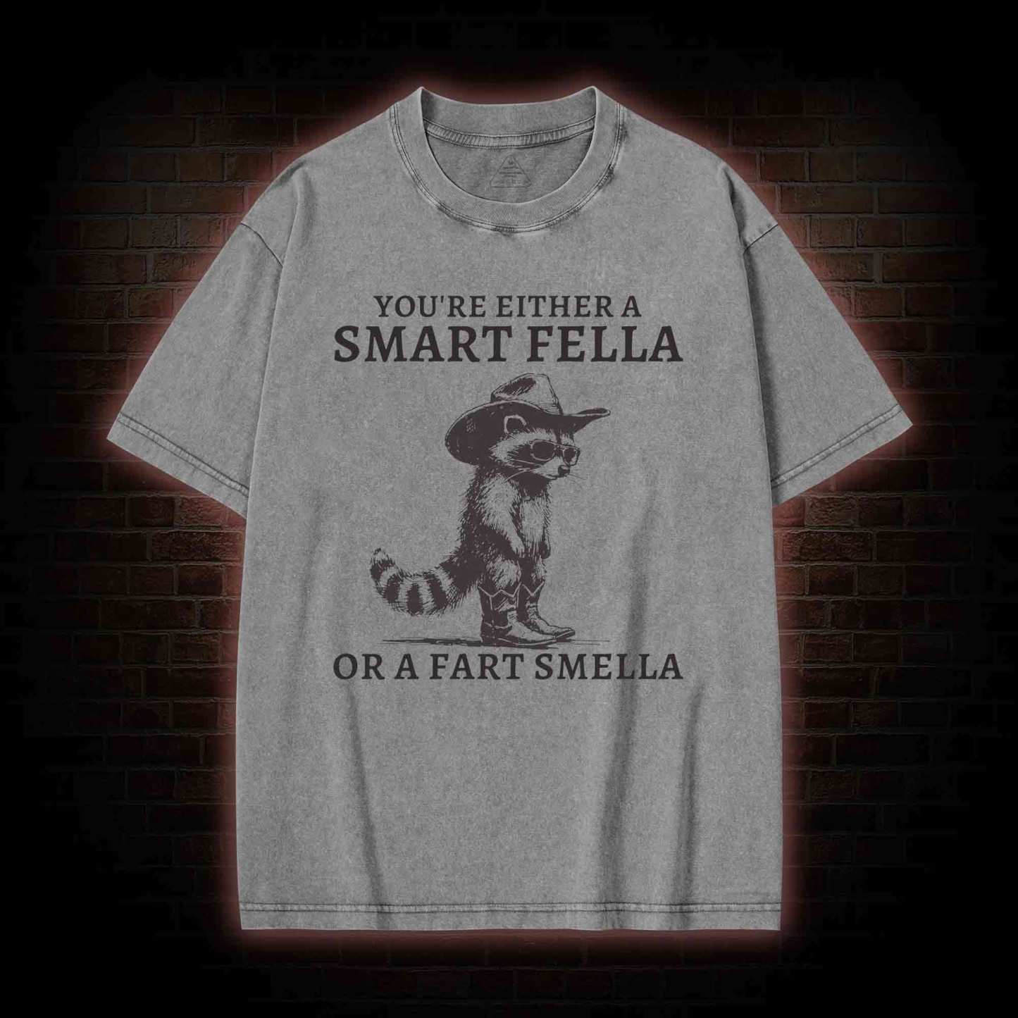 You're Either a Smart Fella or a  Fart Smella Washed T-shirt