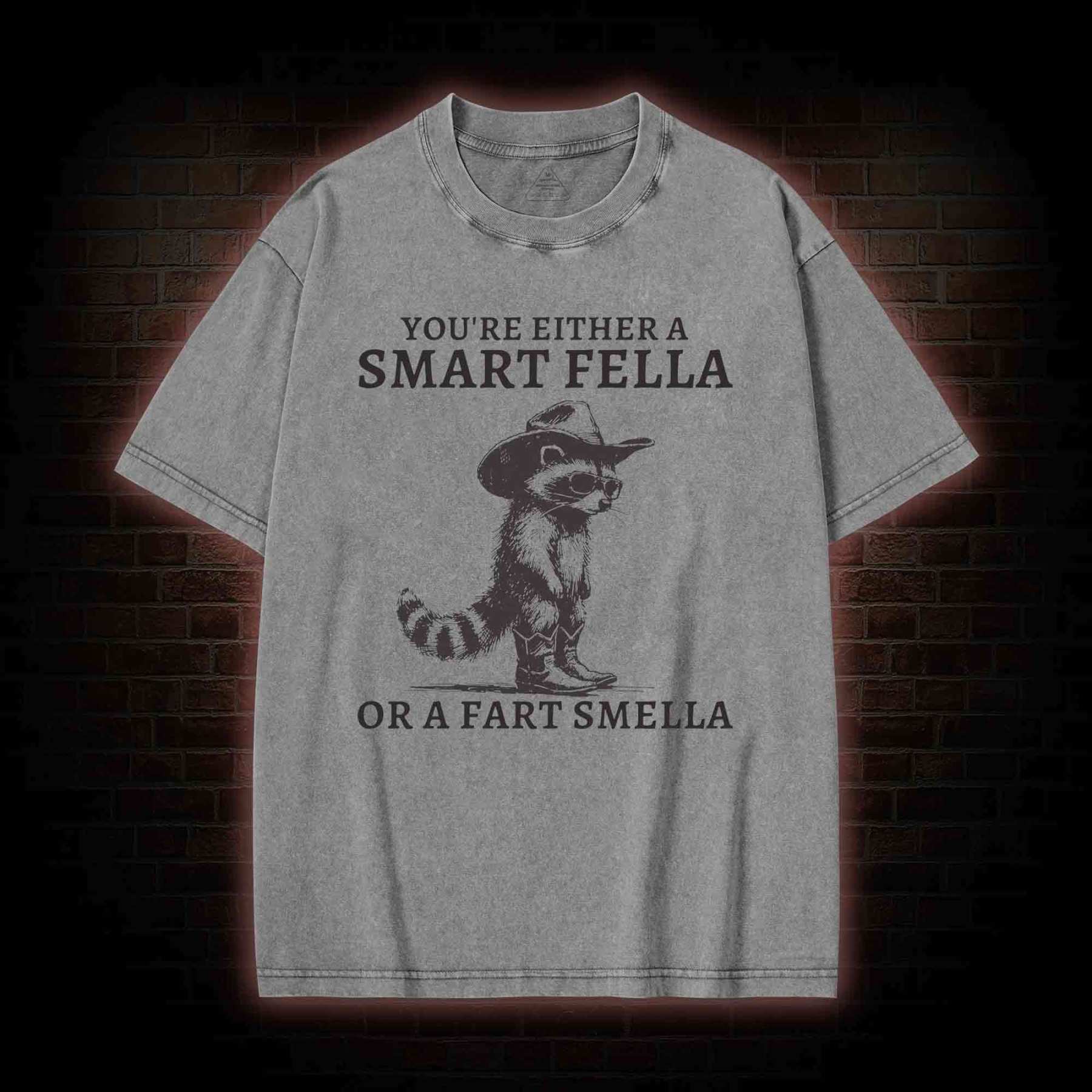 You're Either a Smart Fella or a  Fart Smella Washed T-shirt