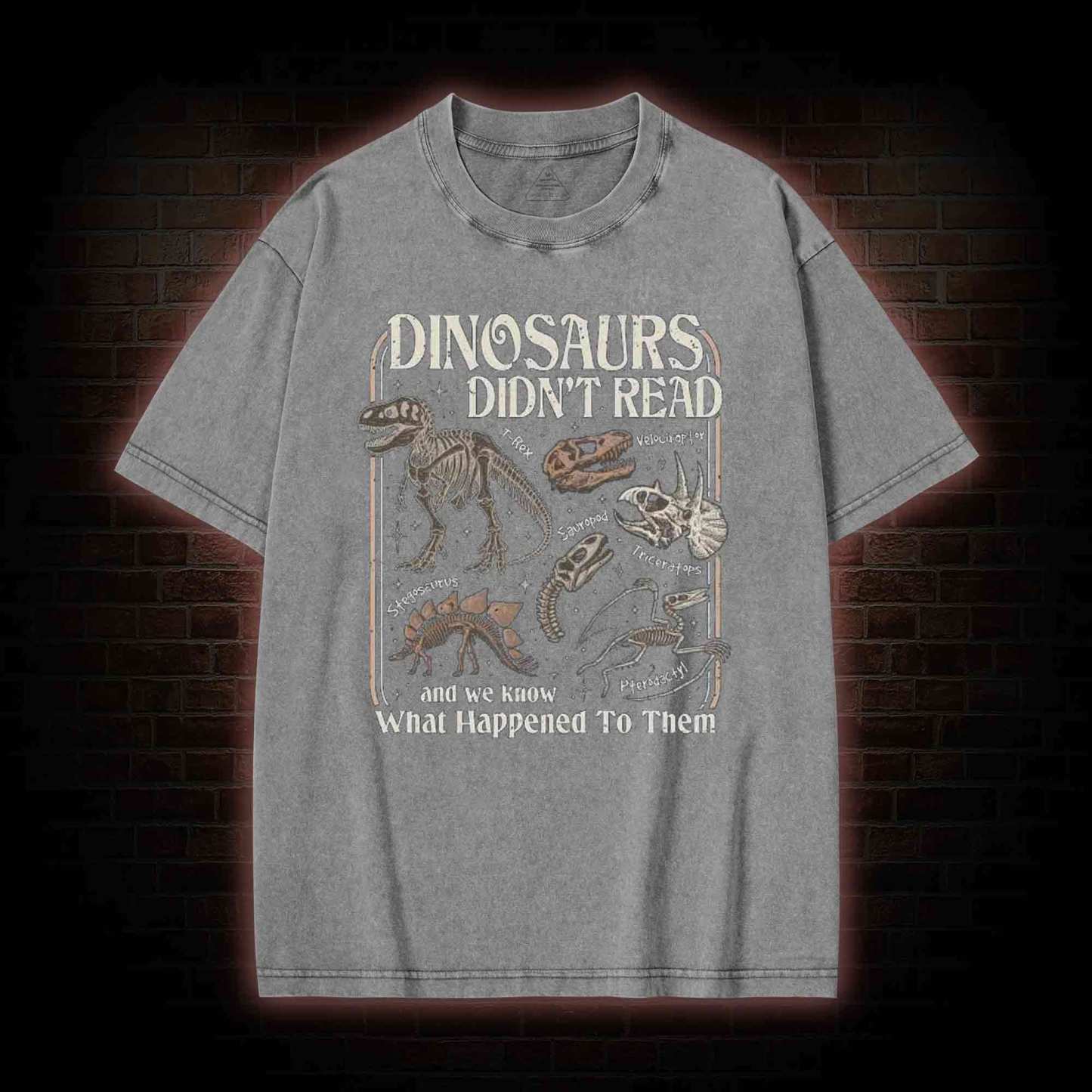 Dinosaurs Didn't Read Washed T-shirt
