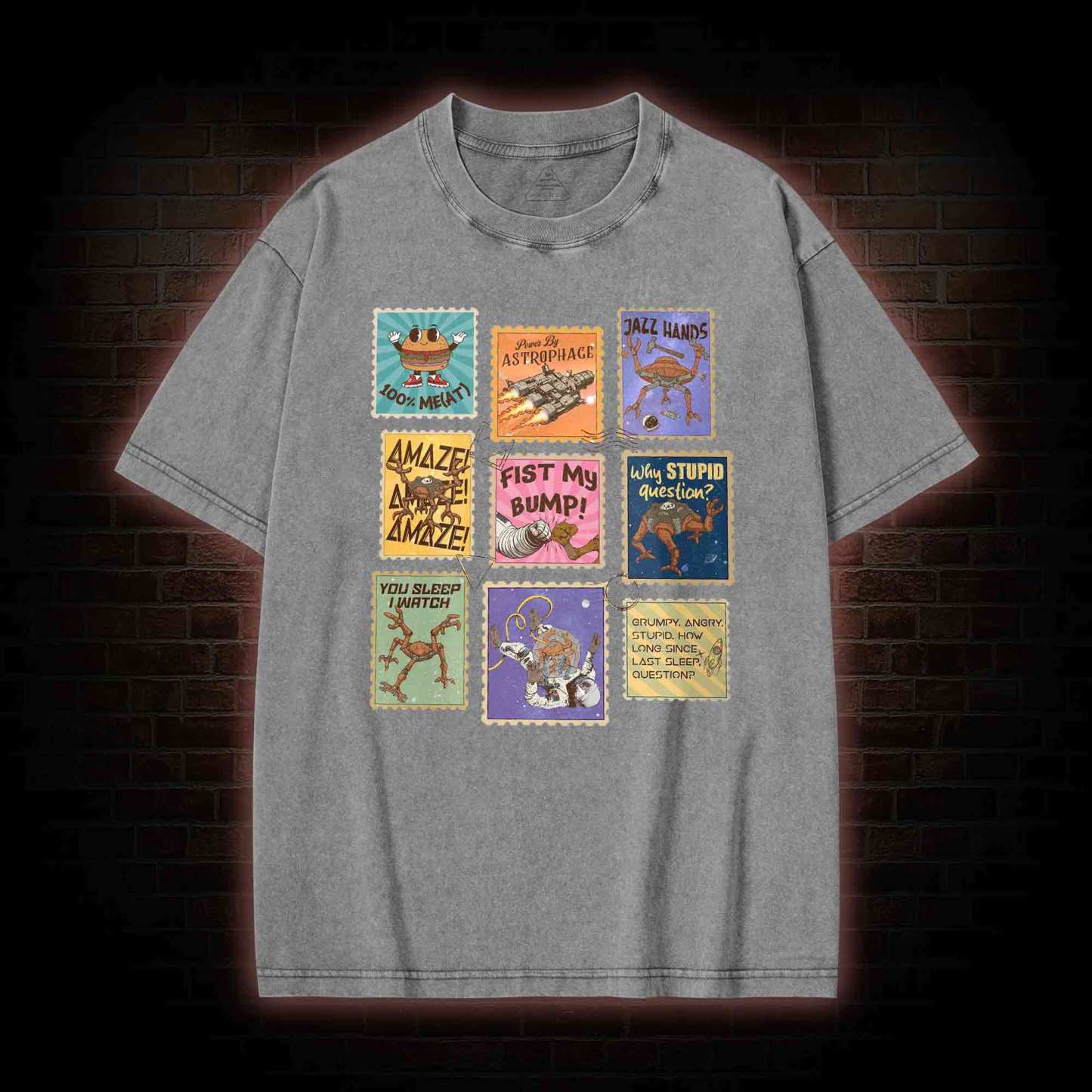 Why Stupid Question Washed T-shirt