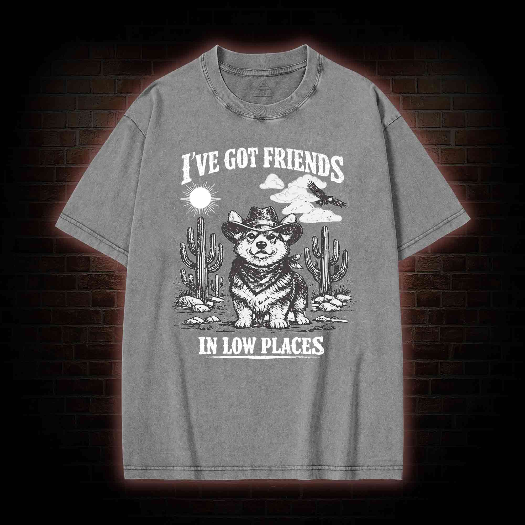 I've Got Friends in Low Places Washed T-shirt