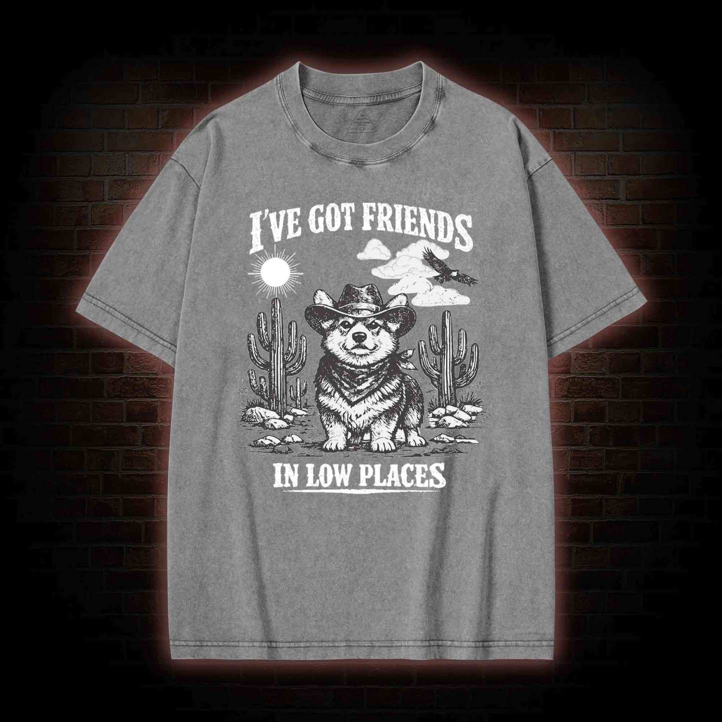 I've Got Friends in Low Places Washed T-shirt