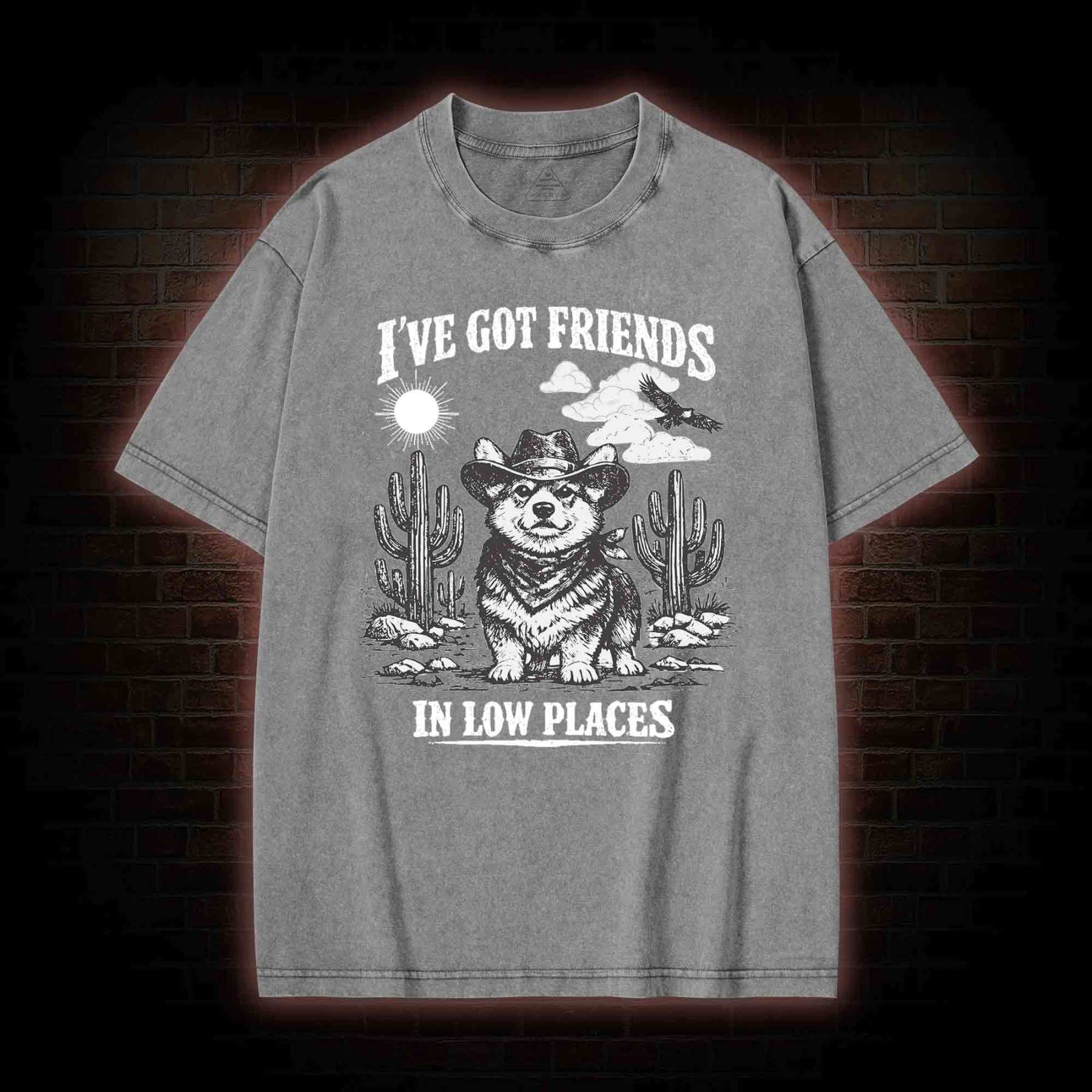 I've Got Friends in Low Places Washed T-shirt