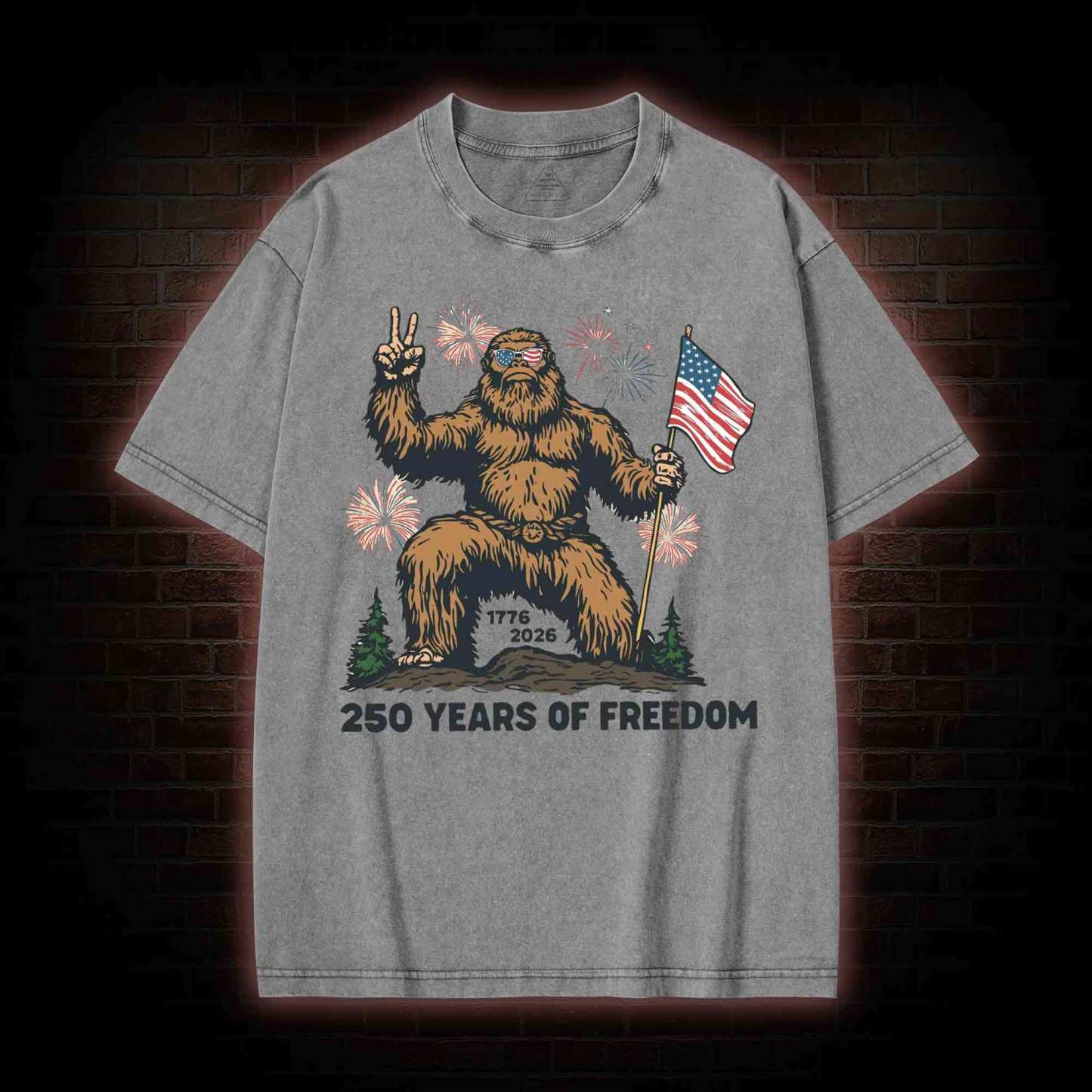 250 Years of Freedom Washed T-shirt