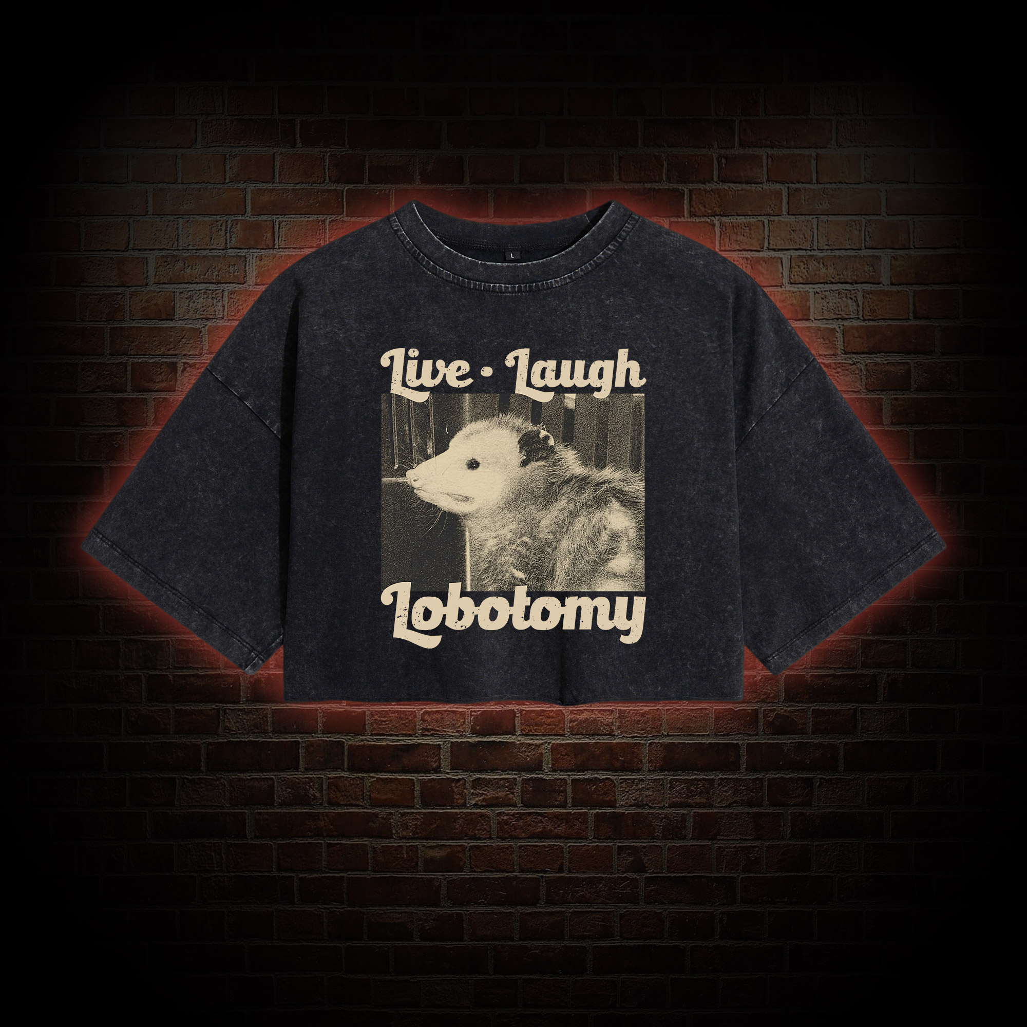 Live Laugh Lobotomy Washed Cropped T-shirts