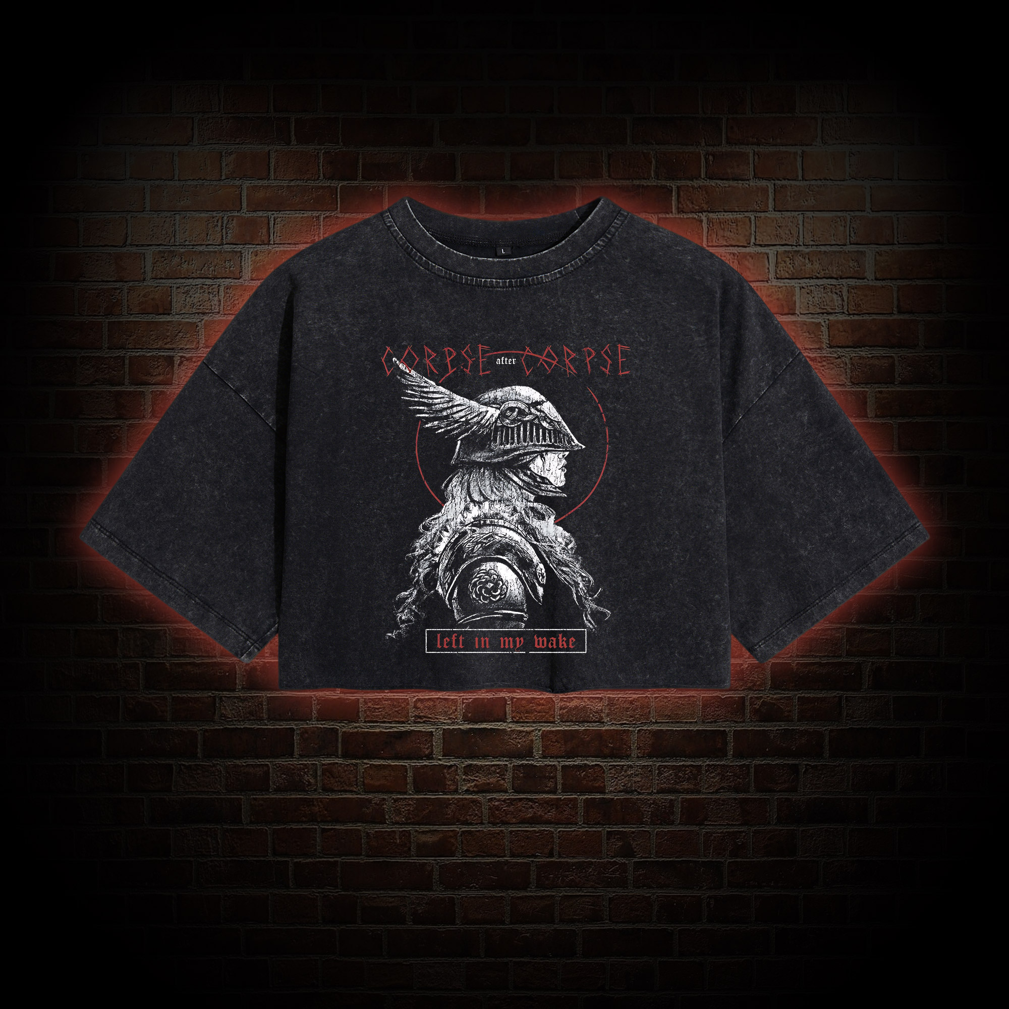 A Peerless Warrior Washed Cropped T-shirts