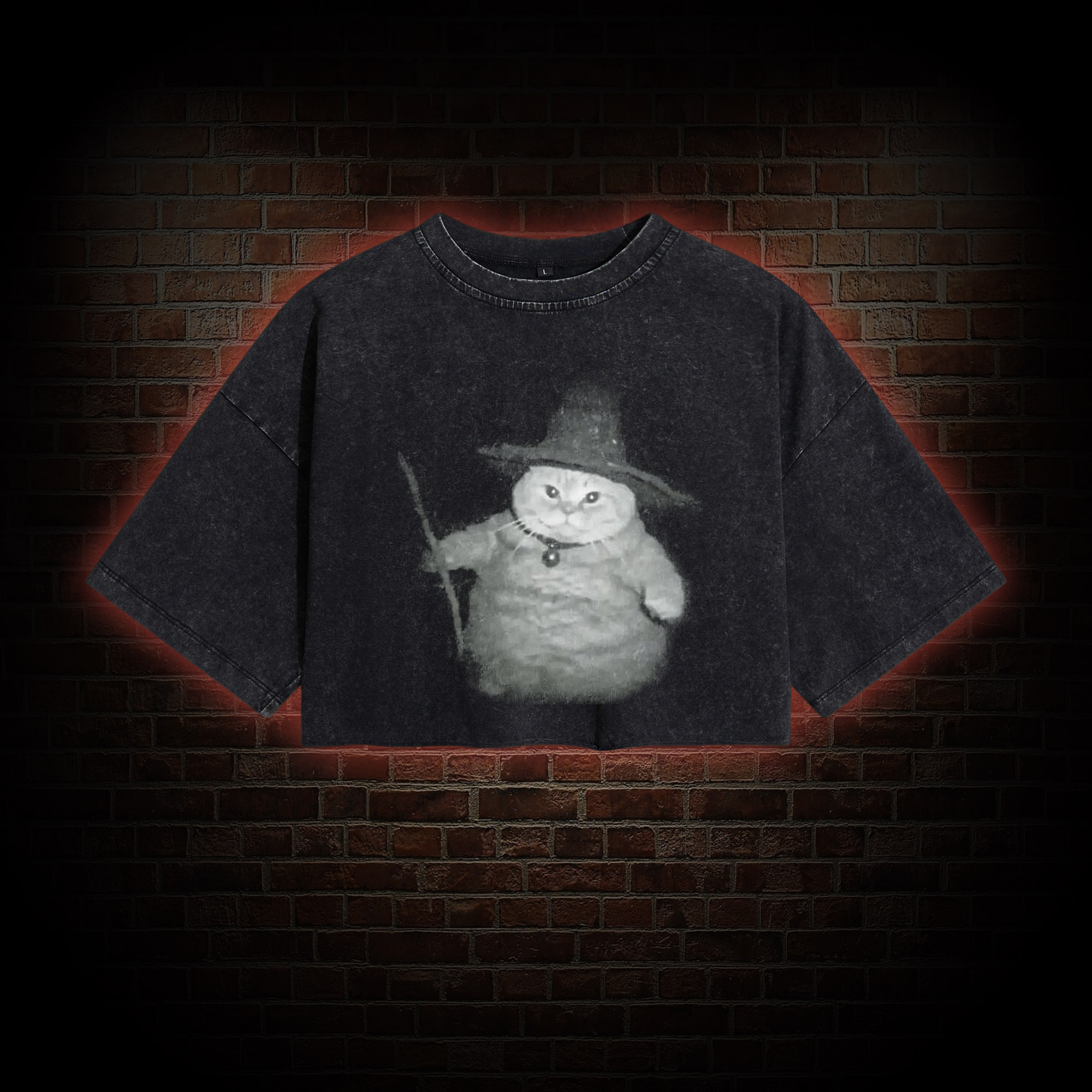 Wizard Cat Washed Cropped T-shirts