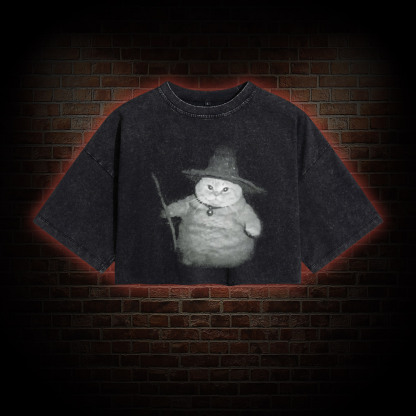 Wizard Cat Washed Cropped T-shirts