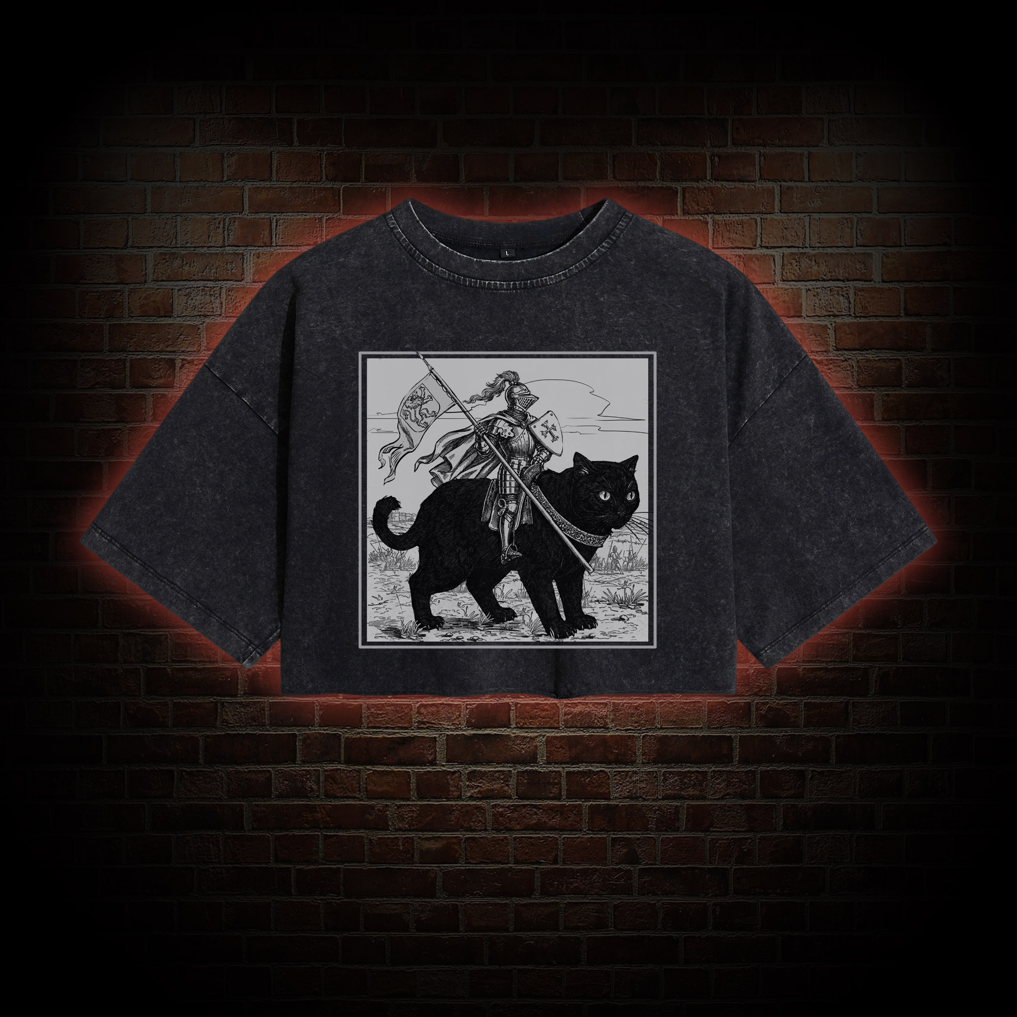 Medieval Knight Washed Cropped T-shirts